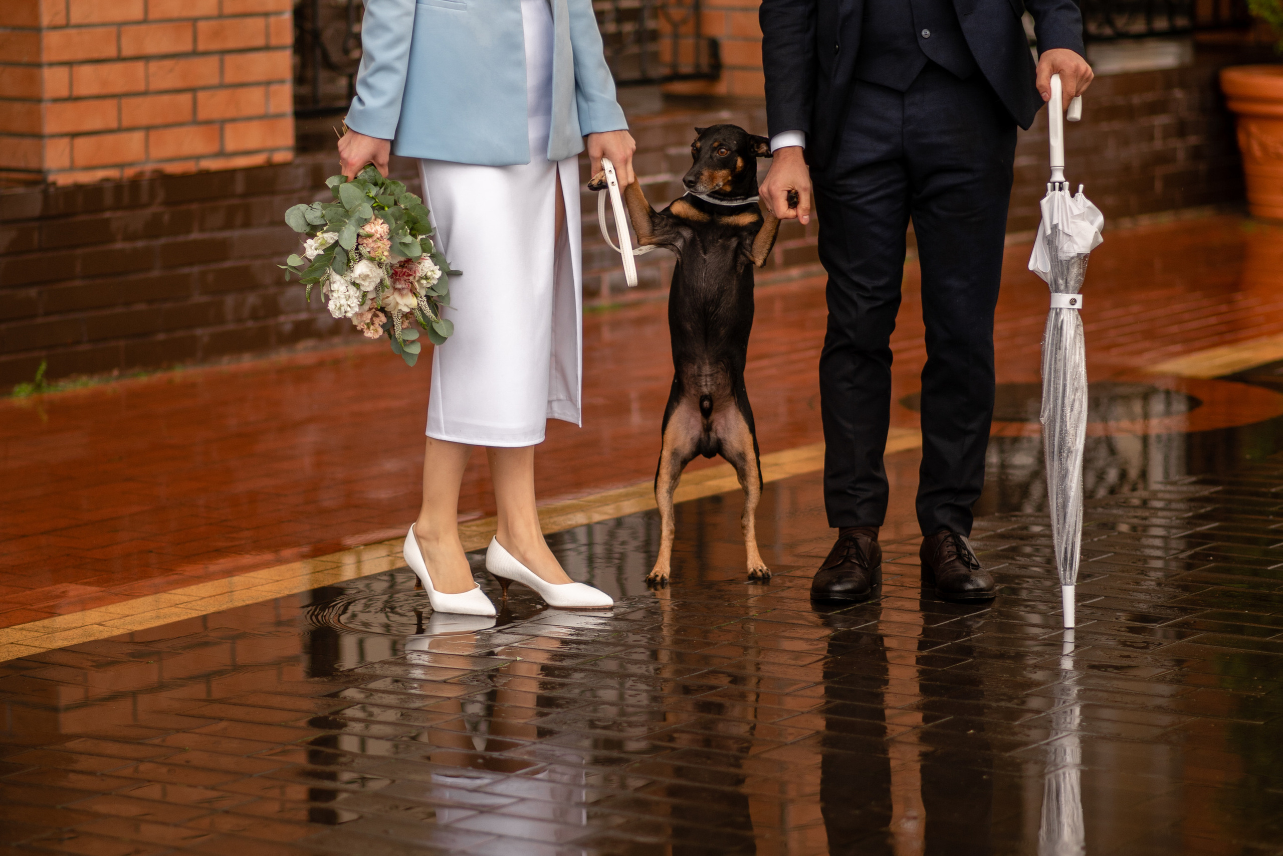 Свадебные прогулки. Главная