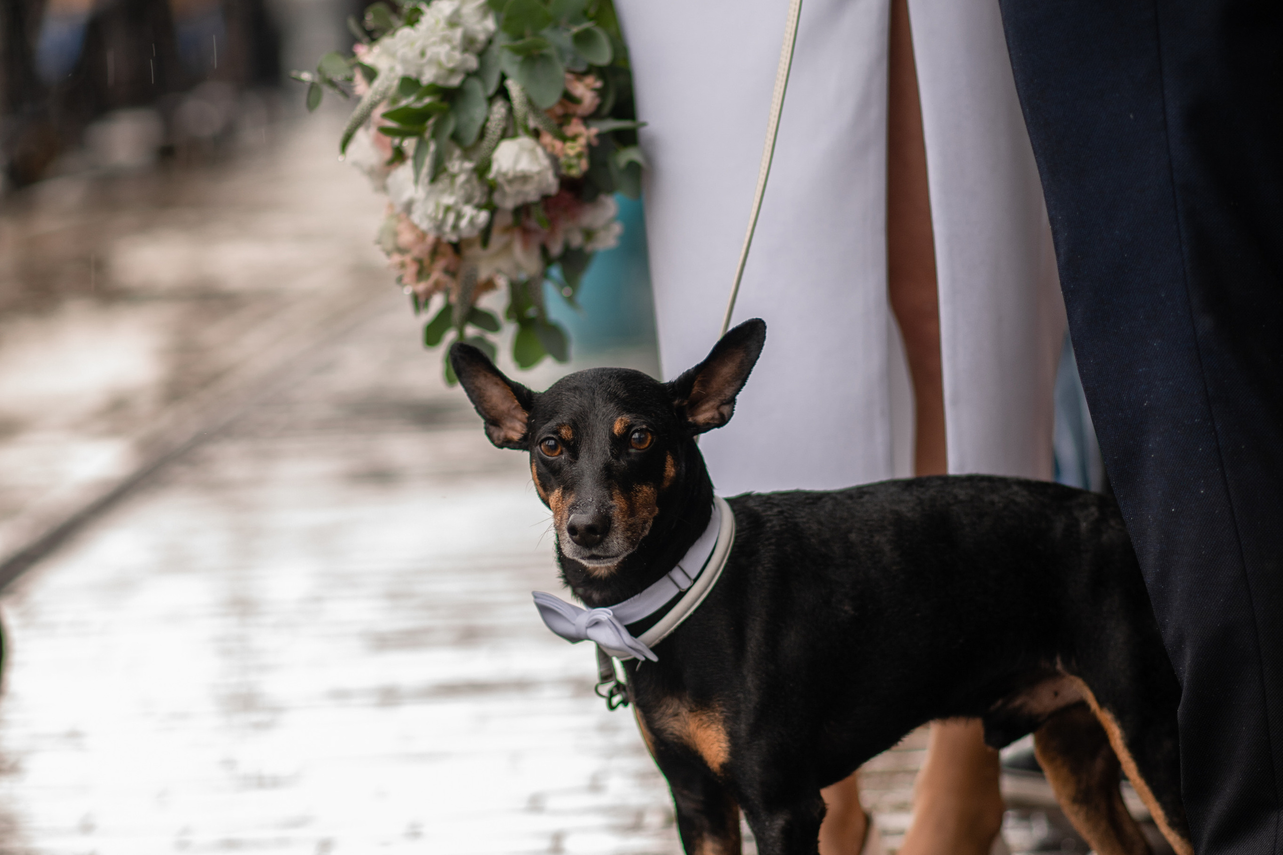 Свадебные прогулки. Главная