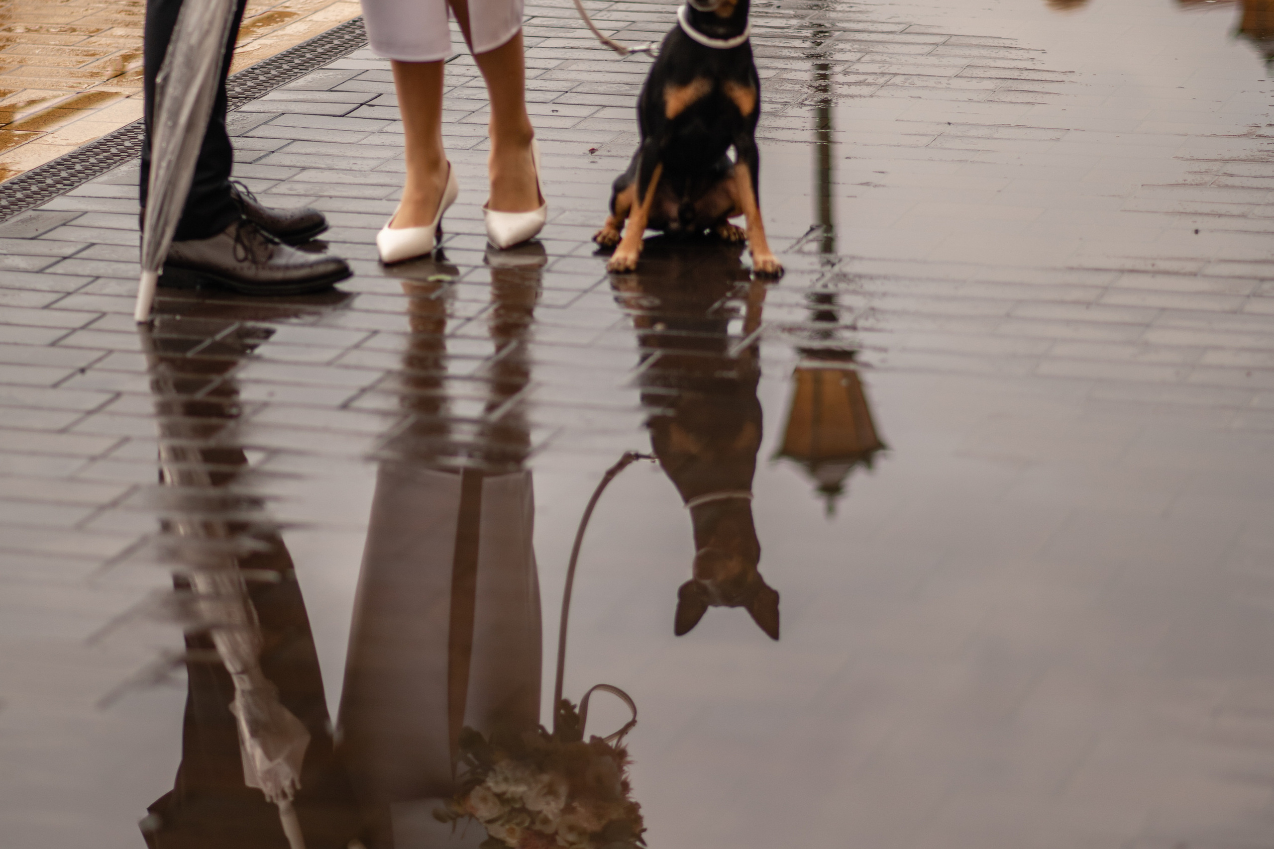Свадебные прогулки. Главная