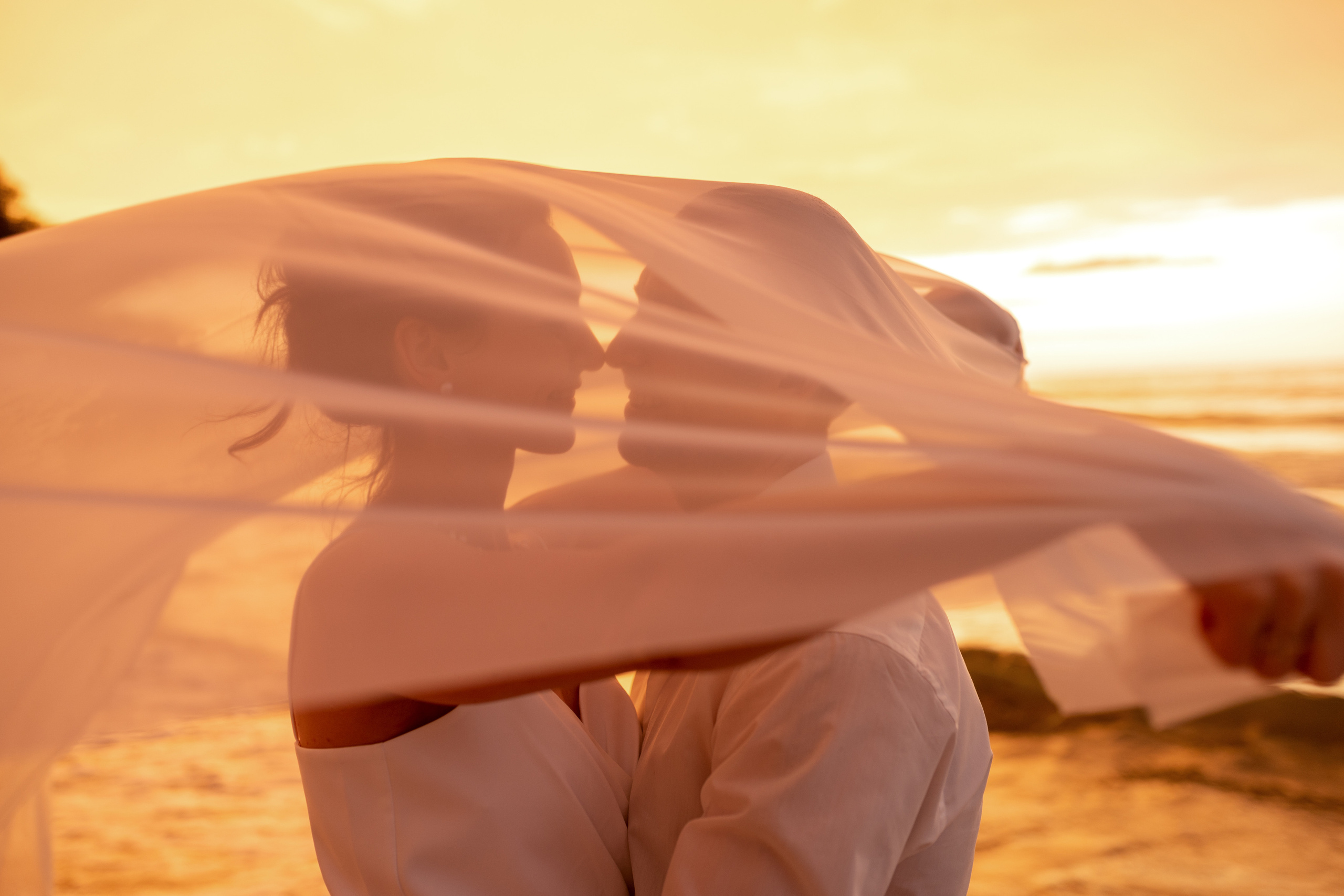 Свадебные прогулки. Главная