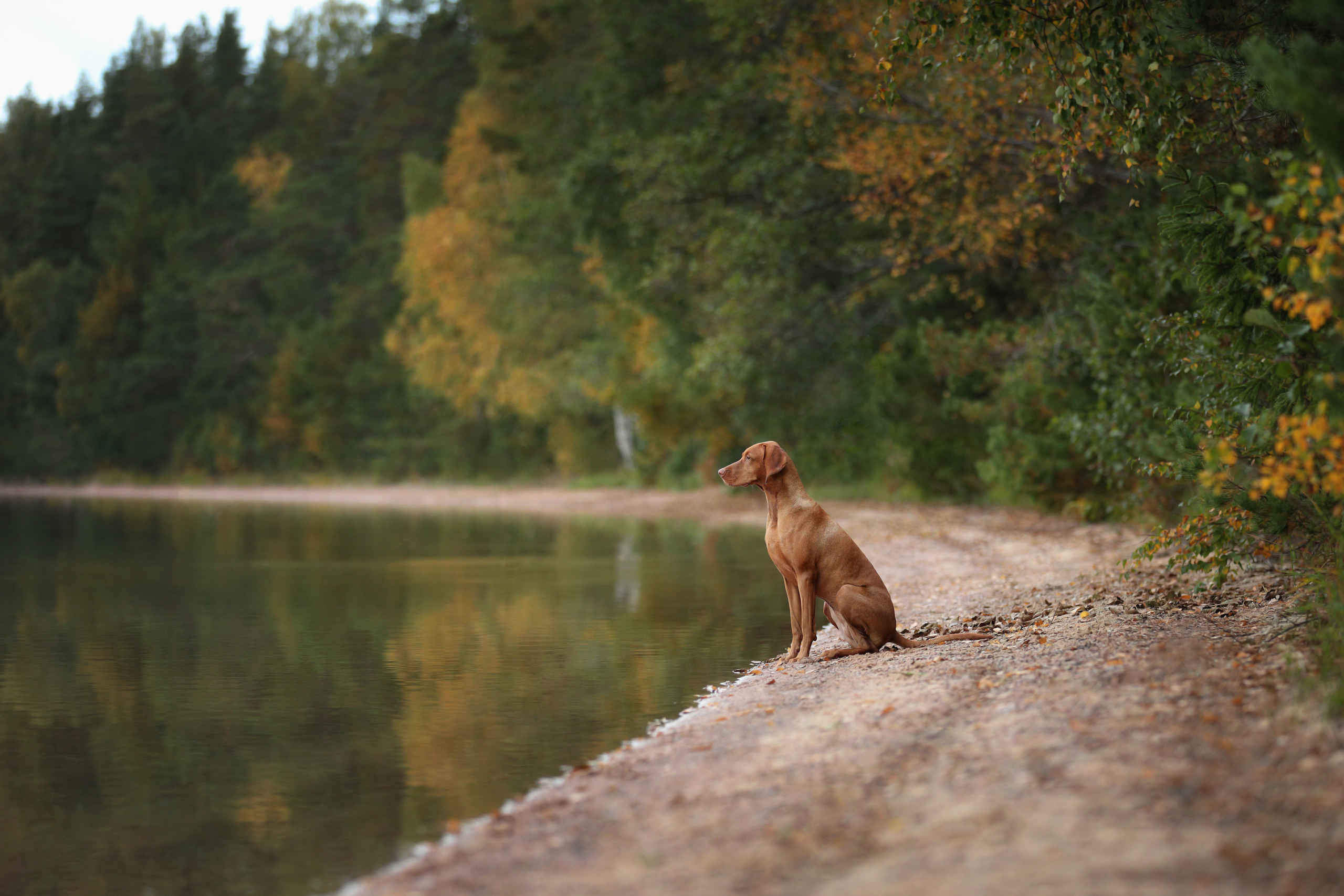 Фотосъемка на природе