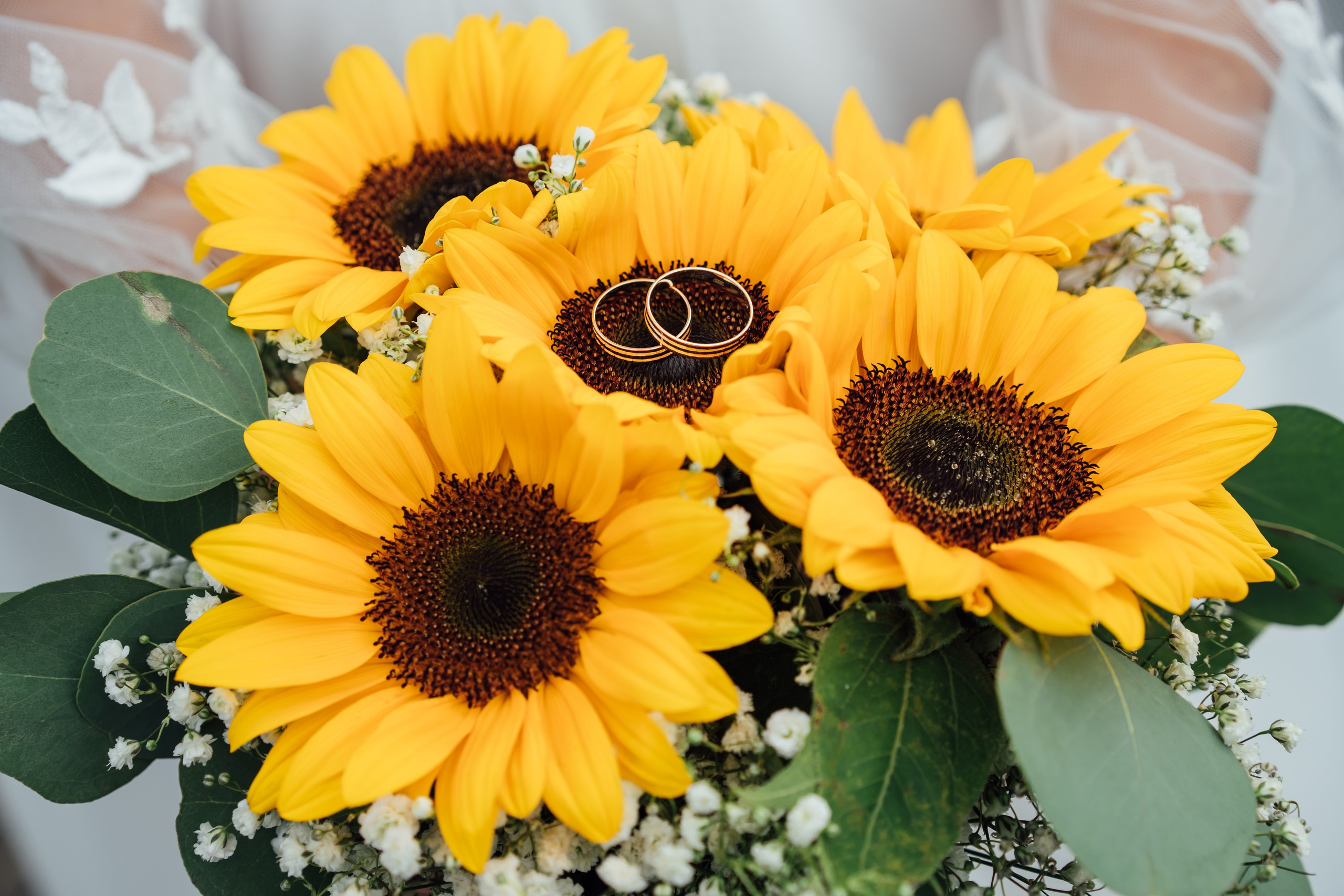 Алексей и Екатерина 06.09.2025 свадебная прогулка