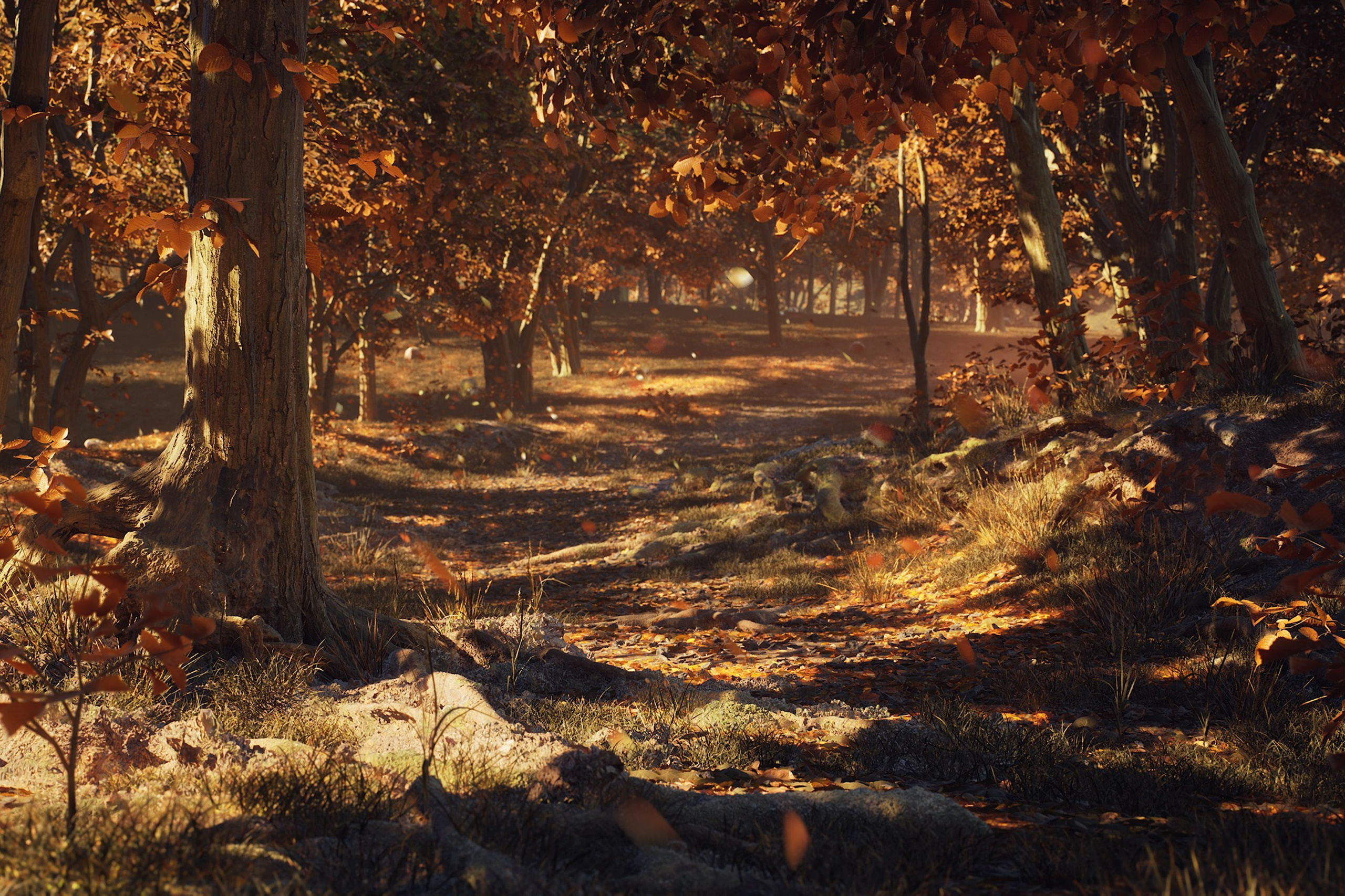 Осенний Лес | 2022