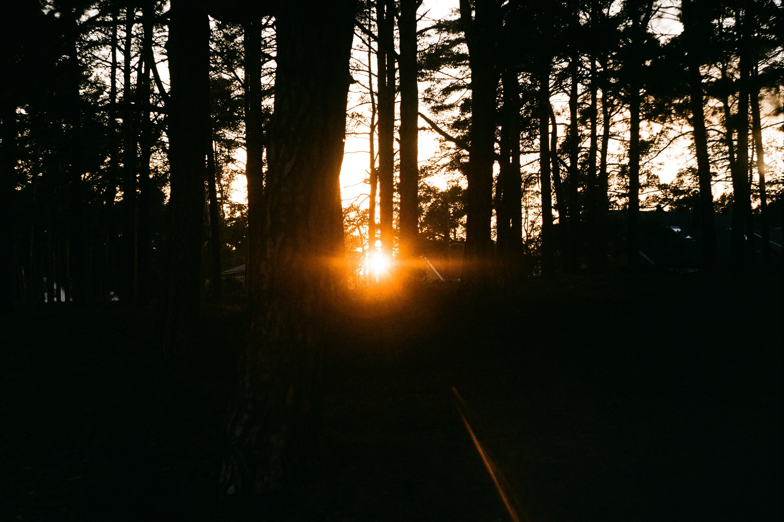 Пленочные съемки