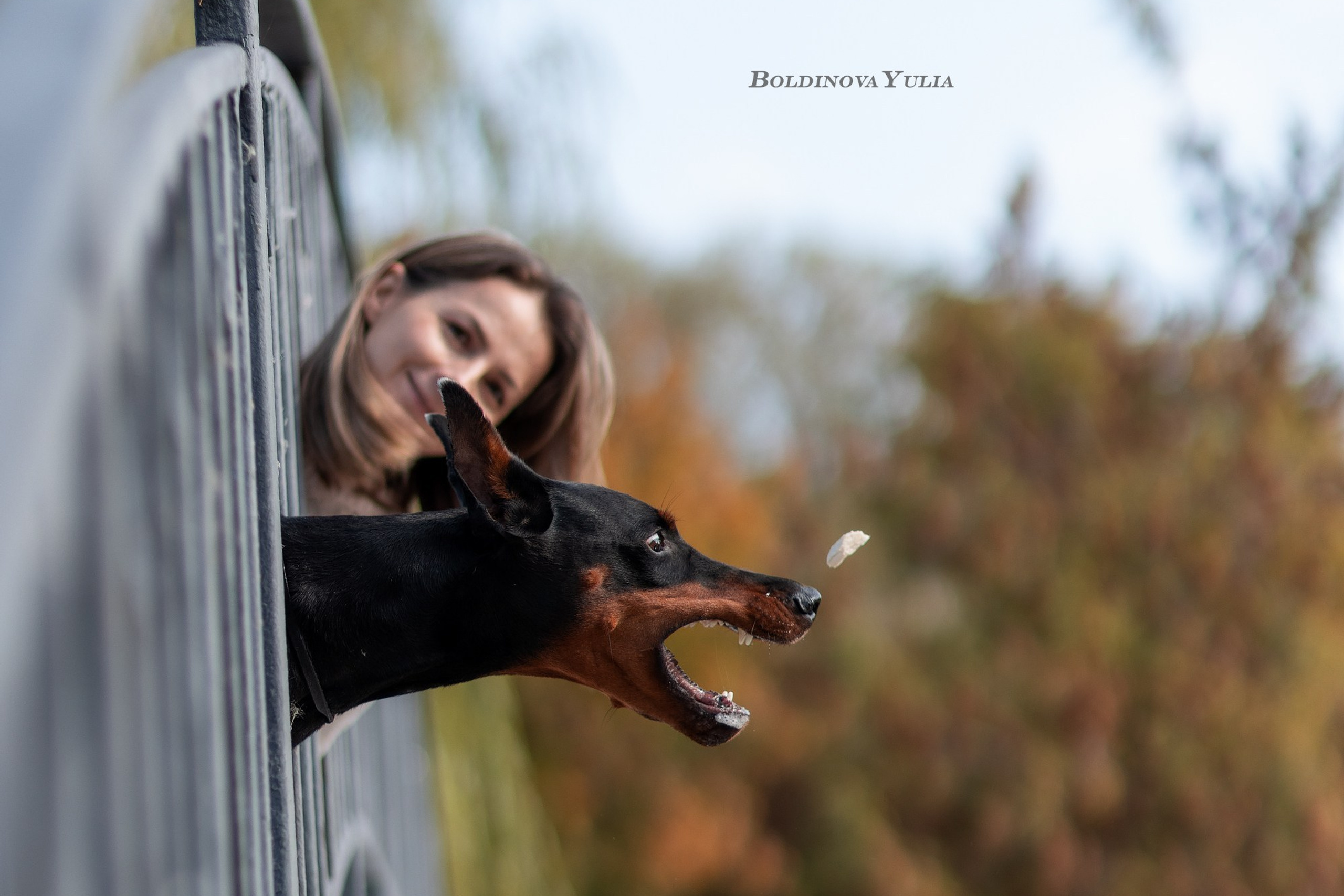 собака и человек