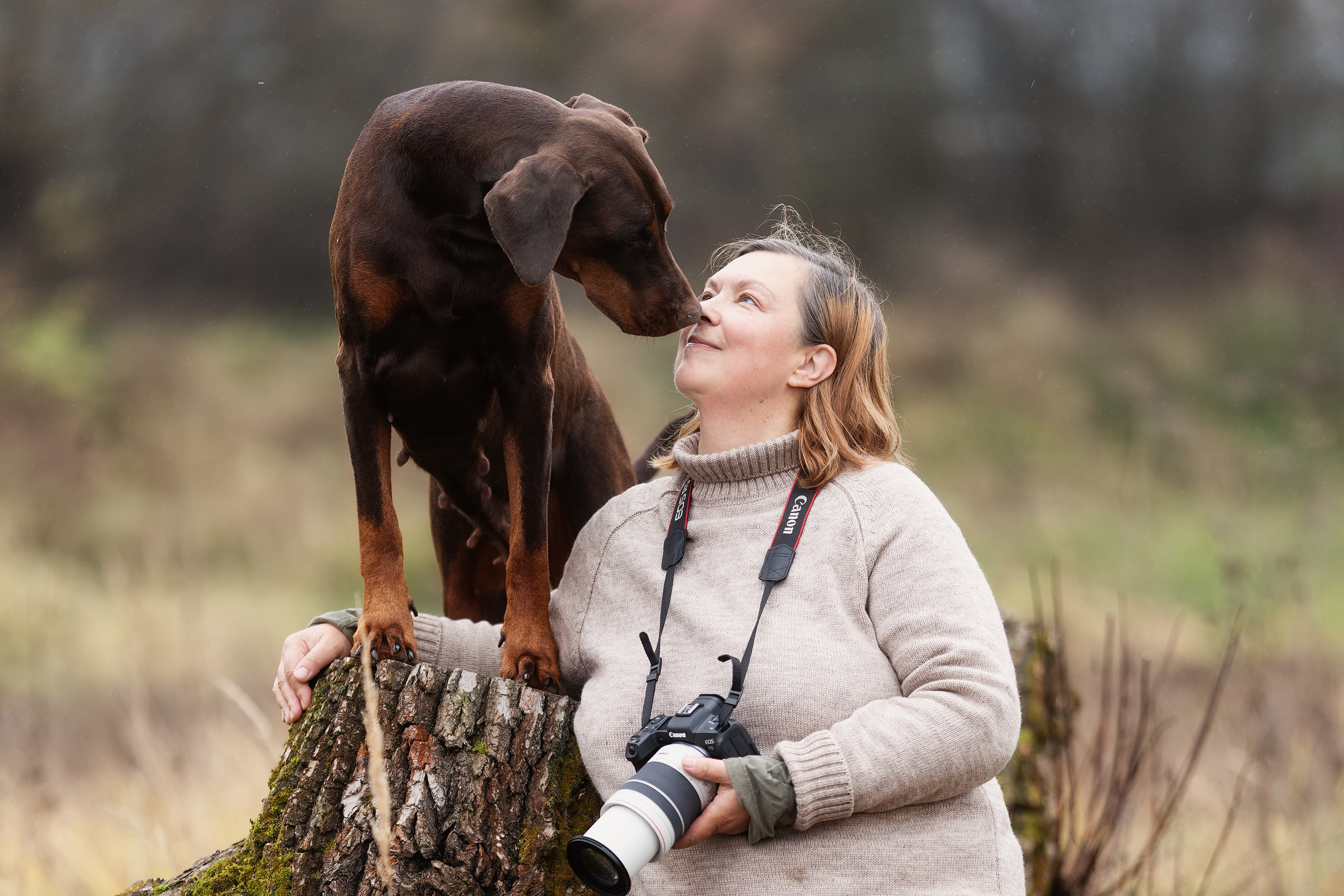 собака и человек