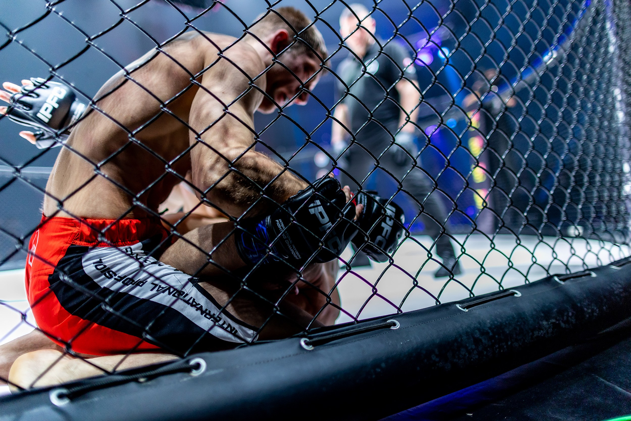 IPFC–7. Репортажный фотограф Александр Хитров