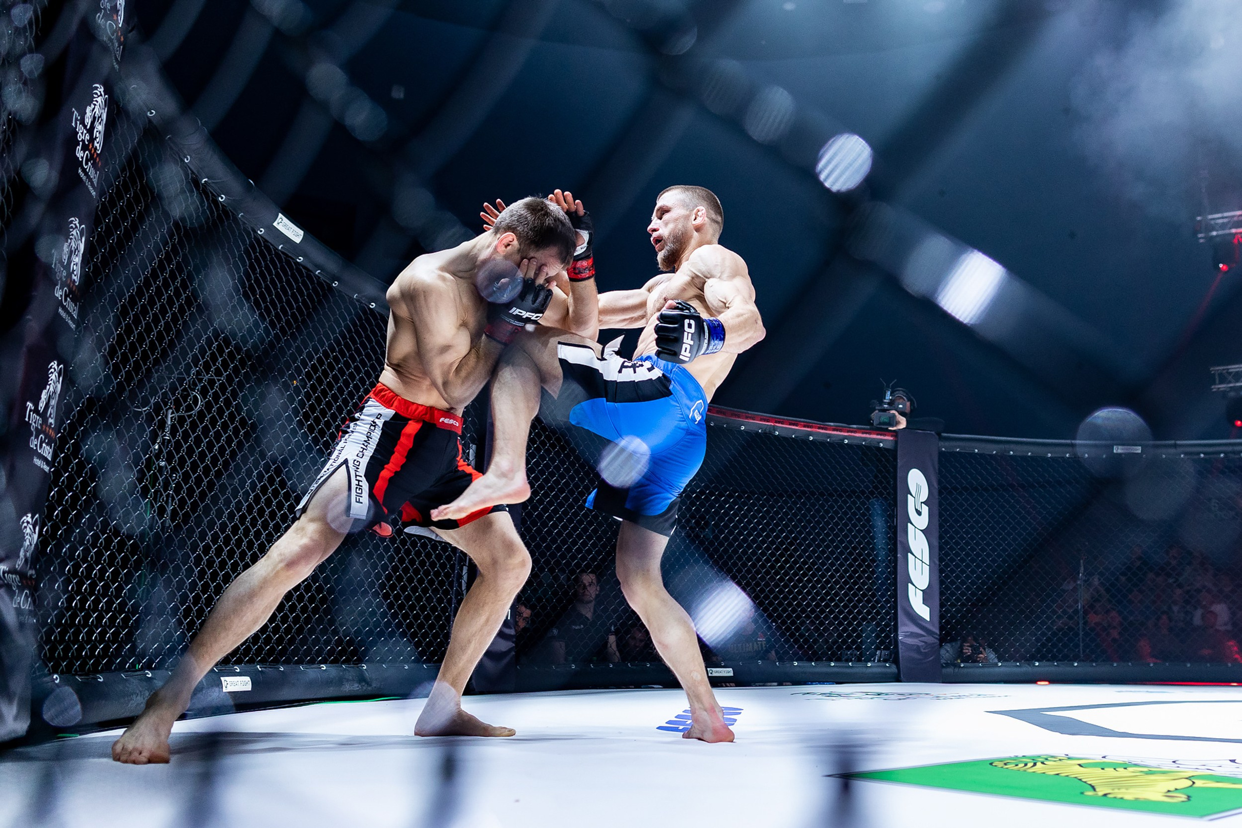 IPFC–7. Репортажный фотограф Александр Хитров