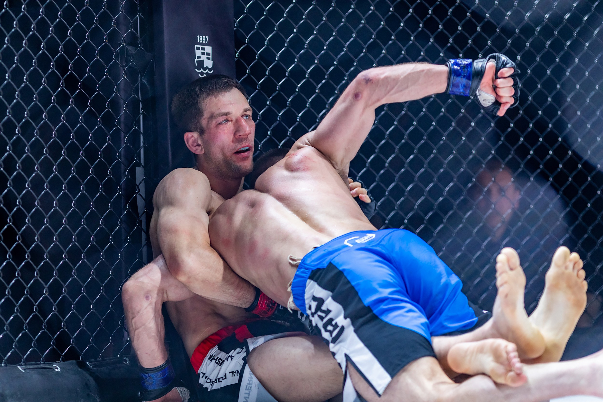 IPFC–7. Репортажный фотограф Александр Хитров