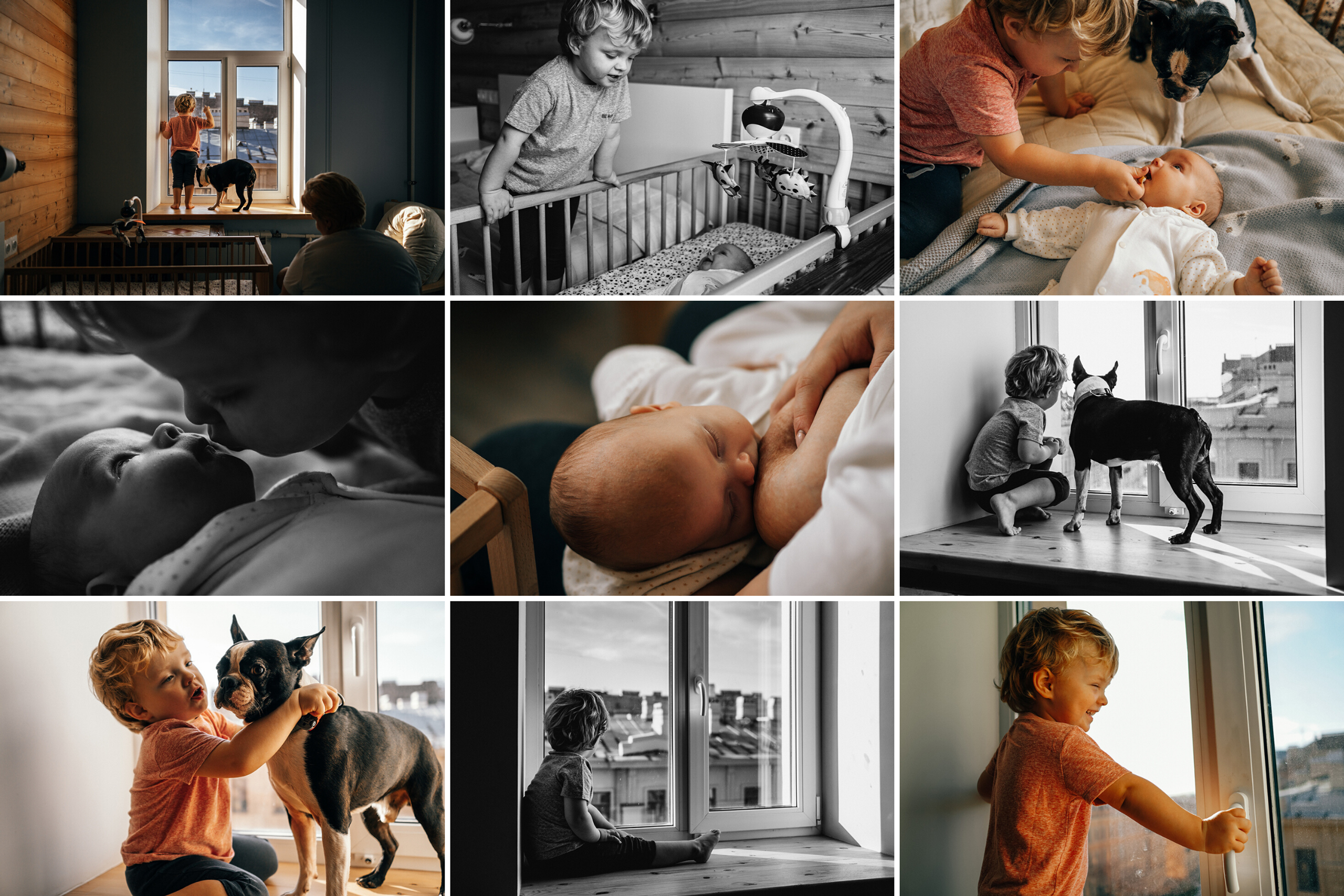 Миша, Саша и Веник