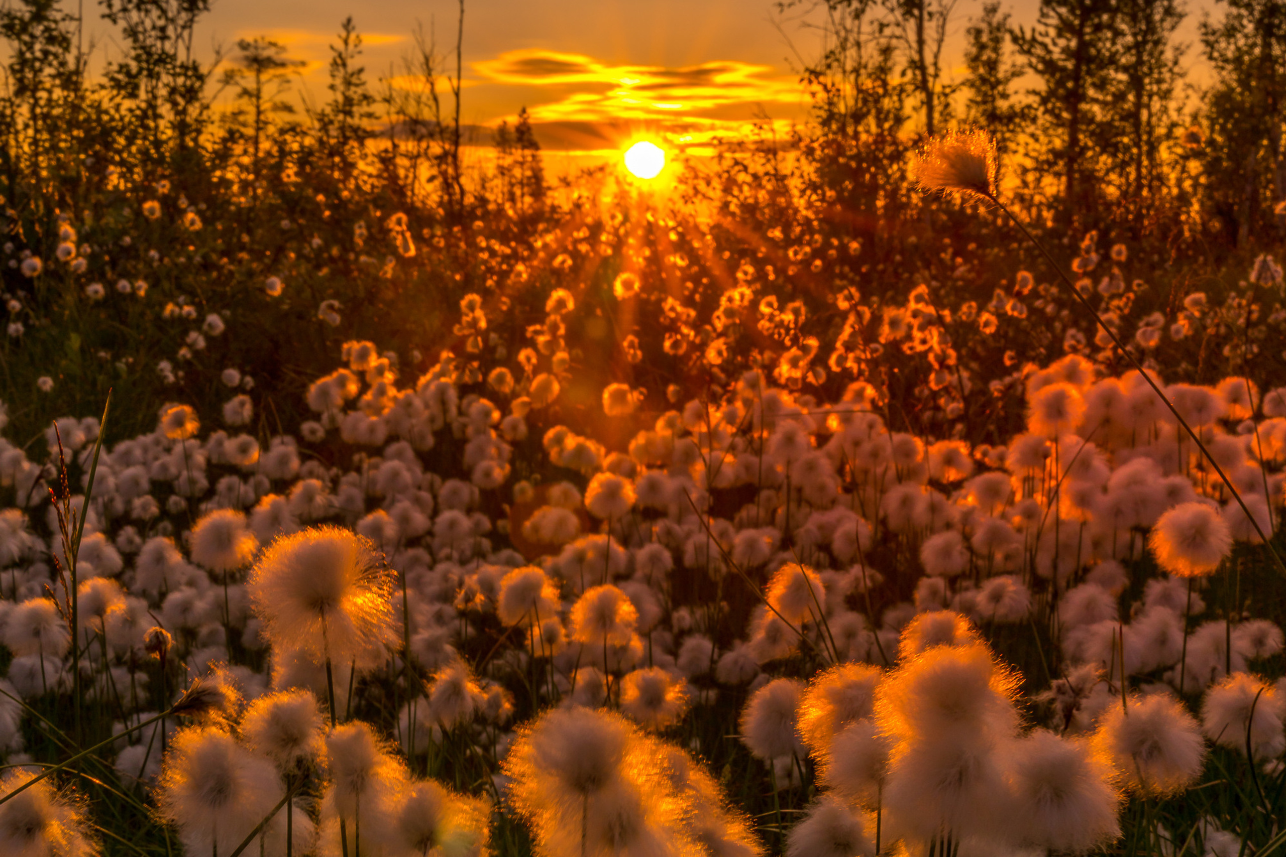 Russia (Murmansk region)