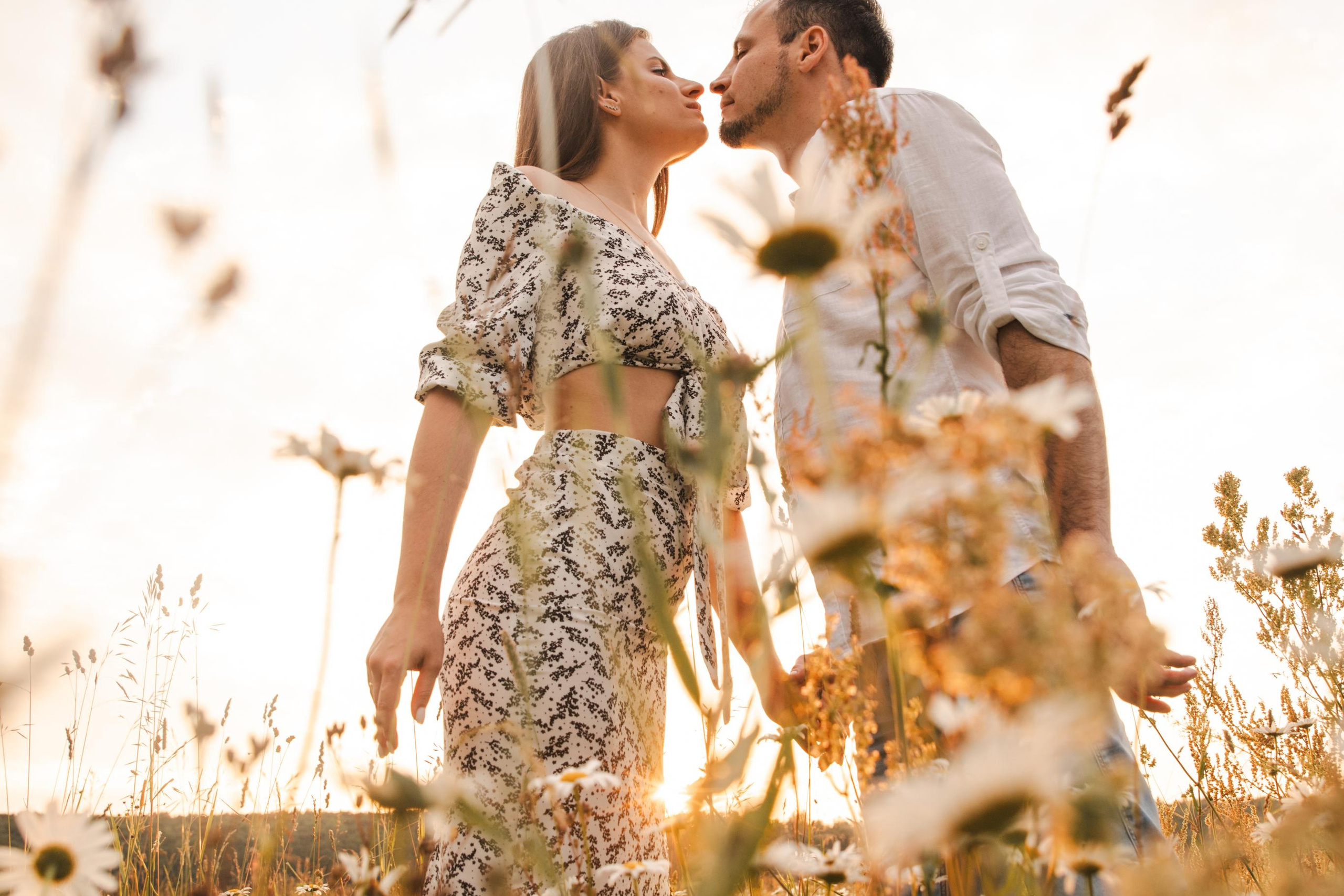 ромашковый вечер