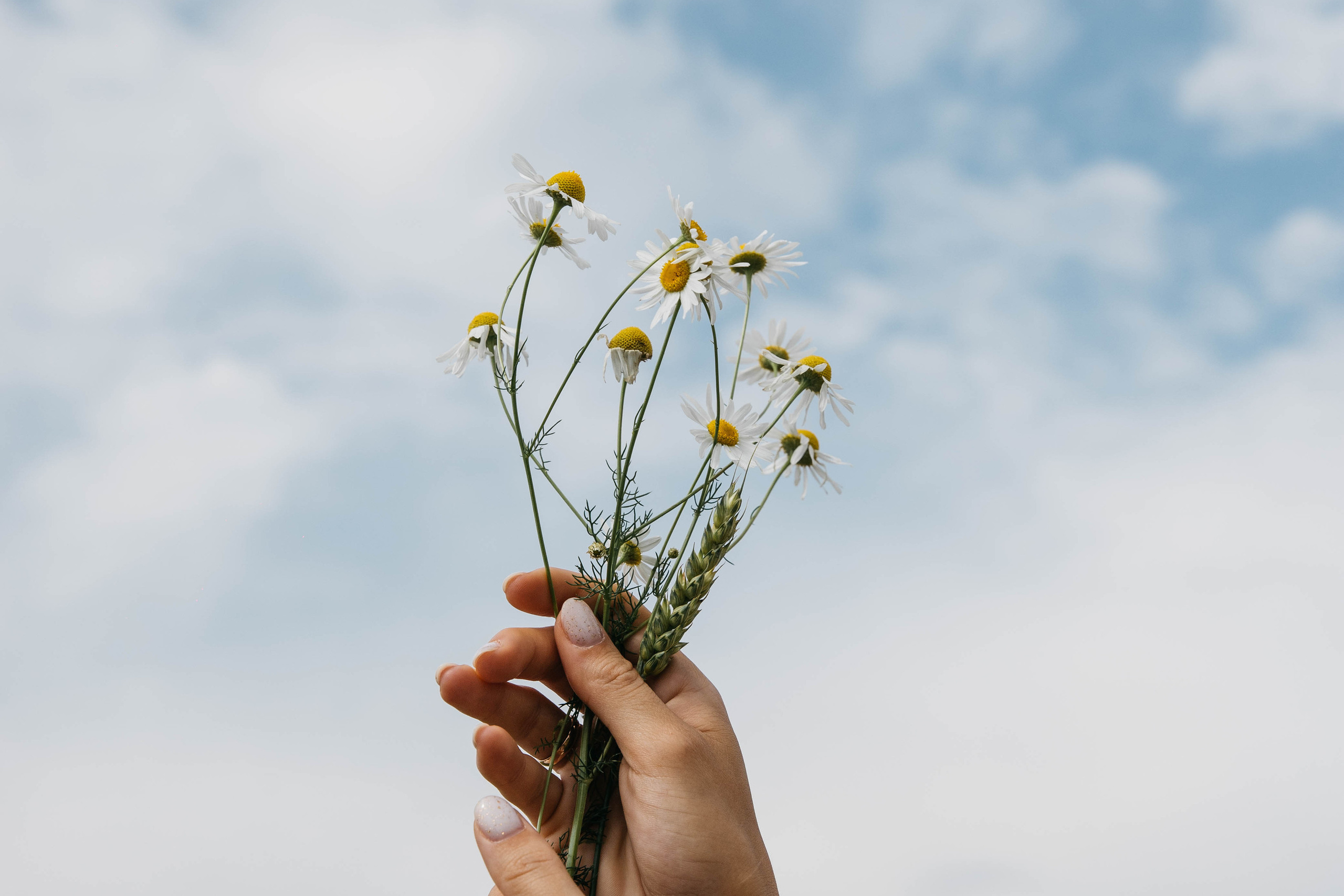 Костя и Лена.Славянская свадьба