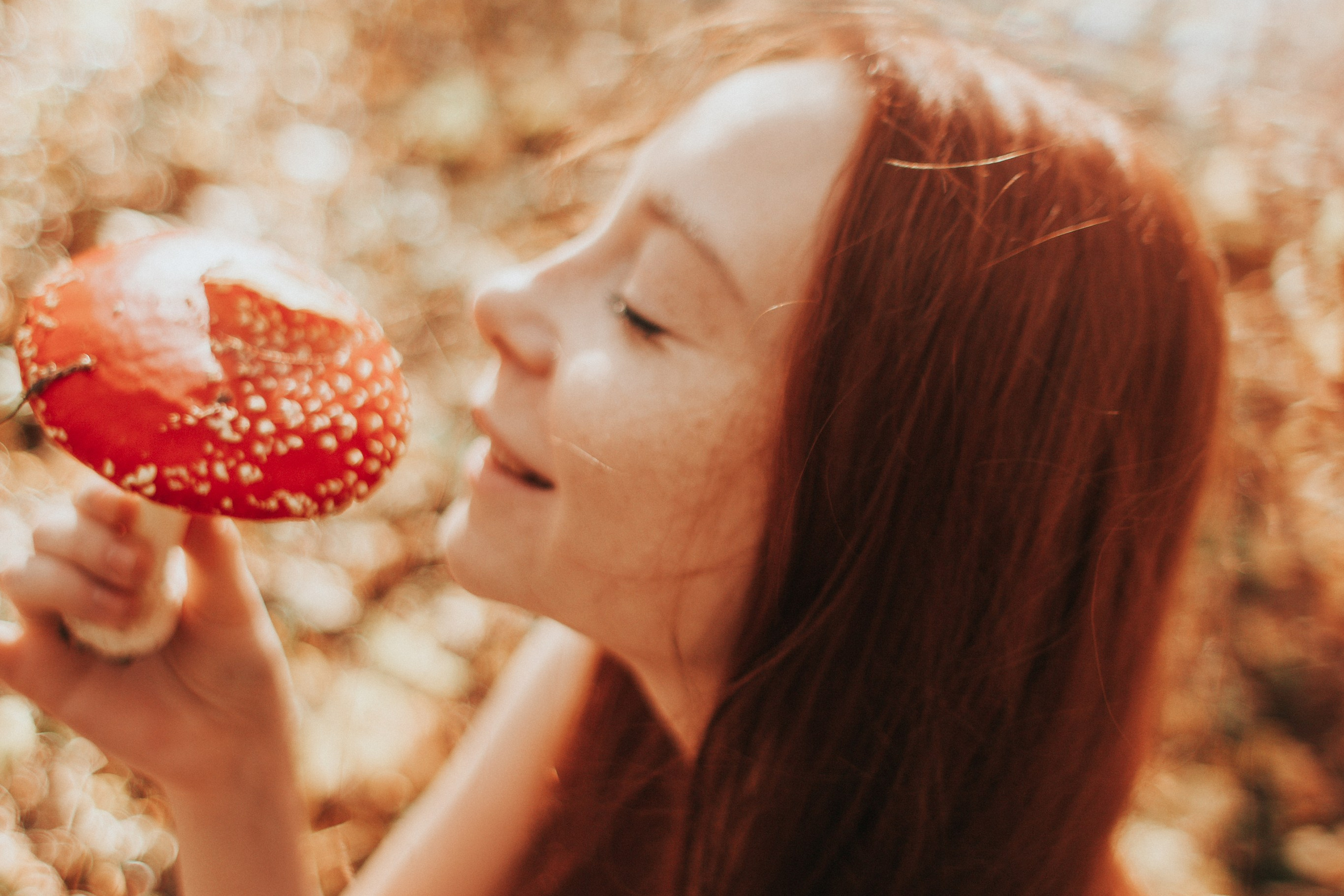 Алина. Мухоморы.