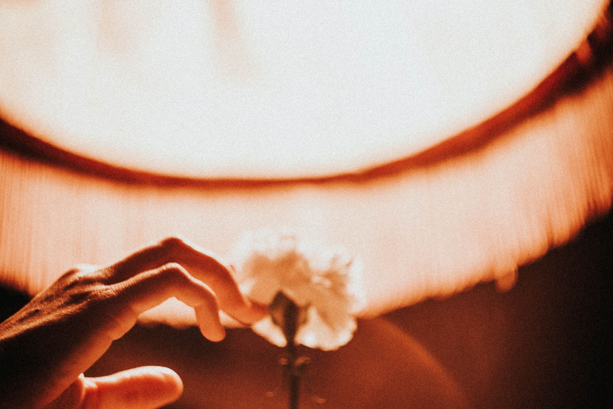 Питер. Коммуналка. Надя.