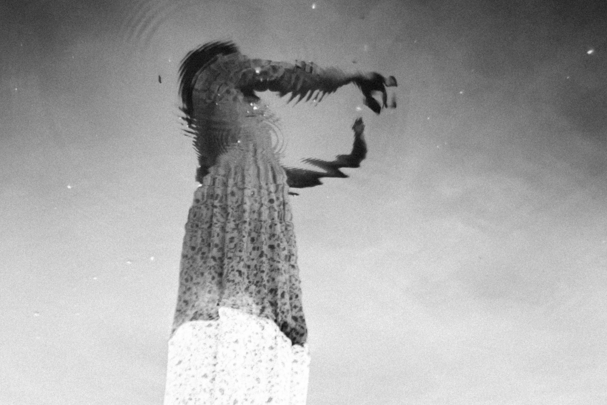 Лена. Рассвет над Окой