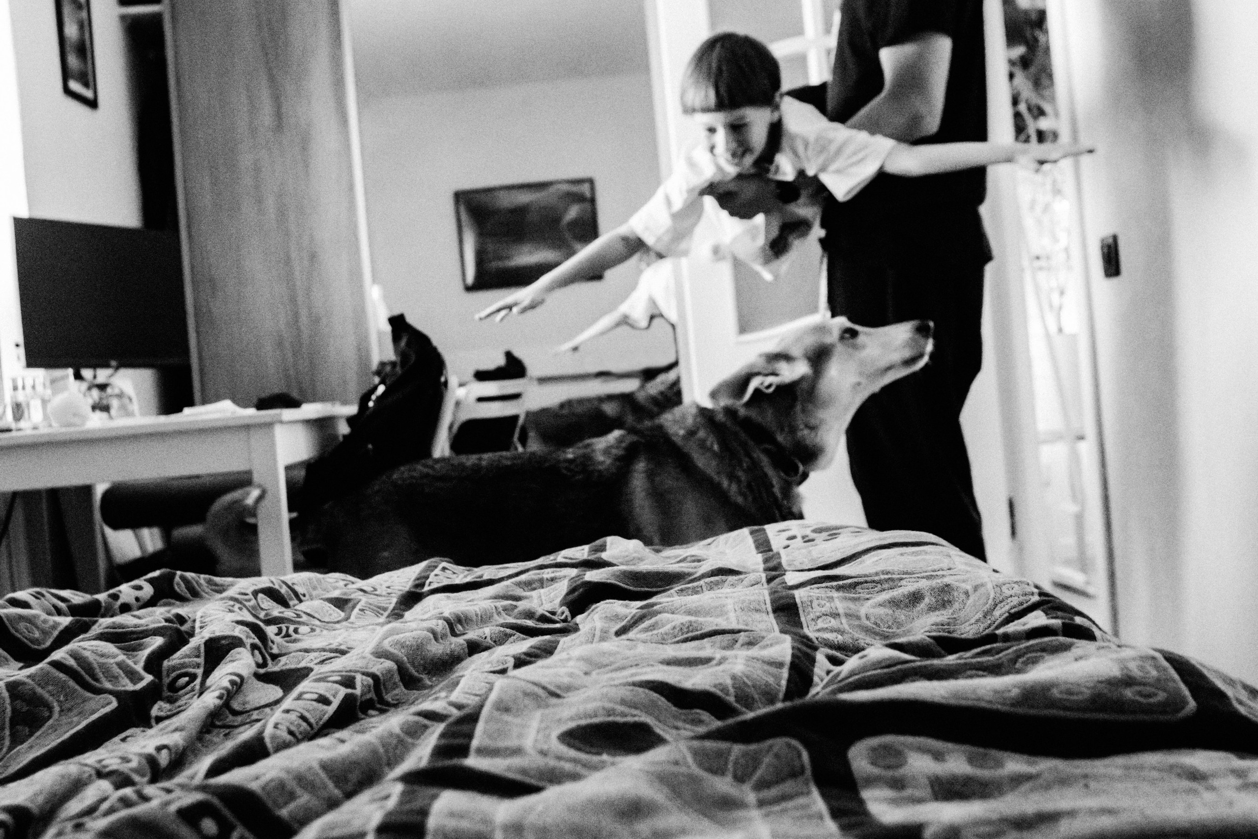 Миша. Матвей. Эмми.