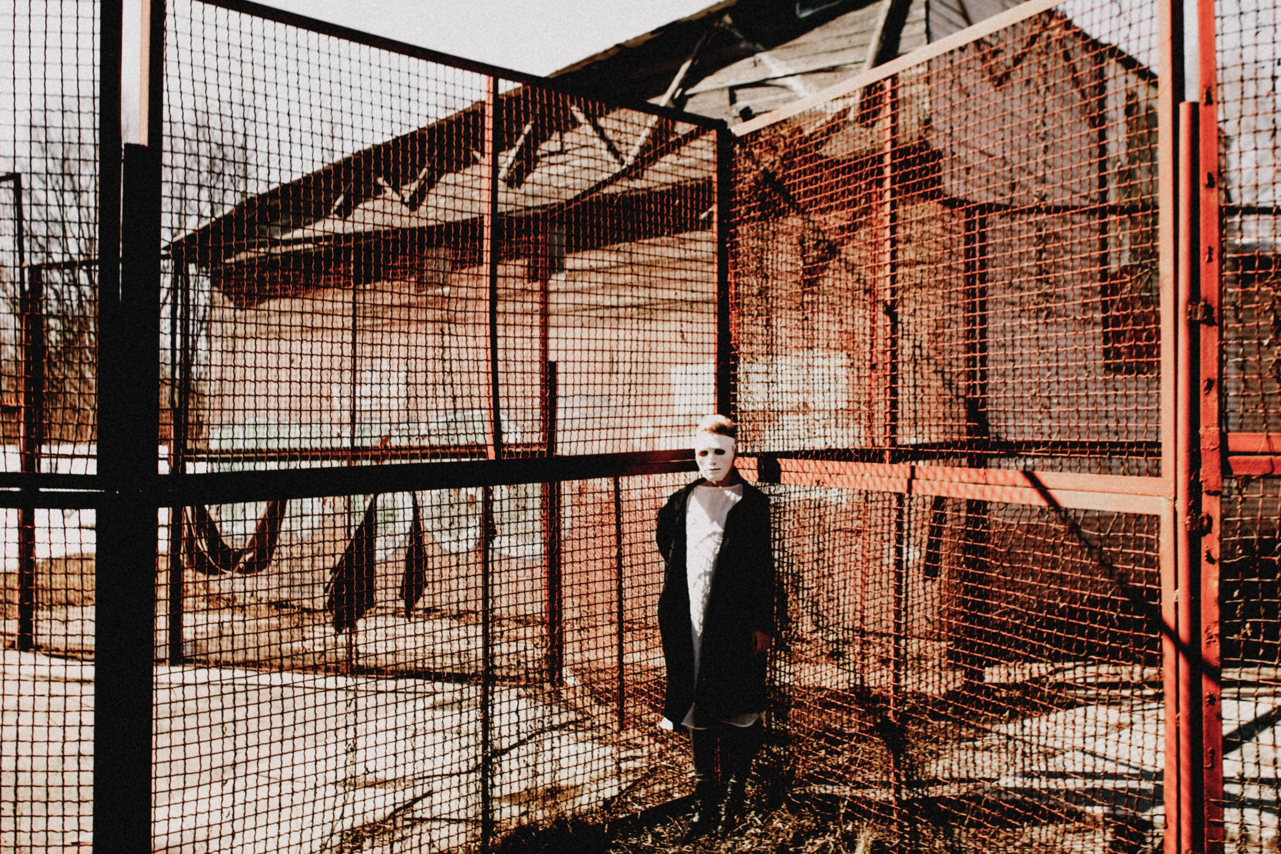 Лиза Земснаряд