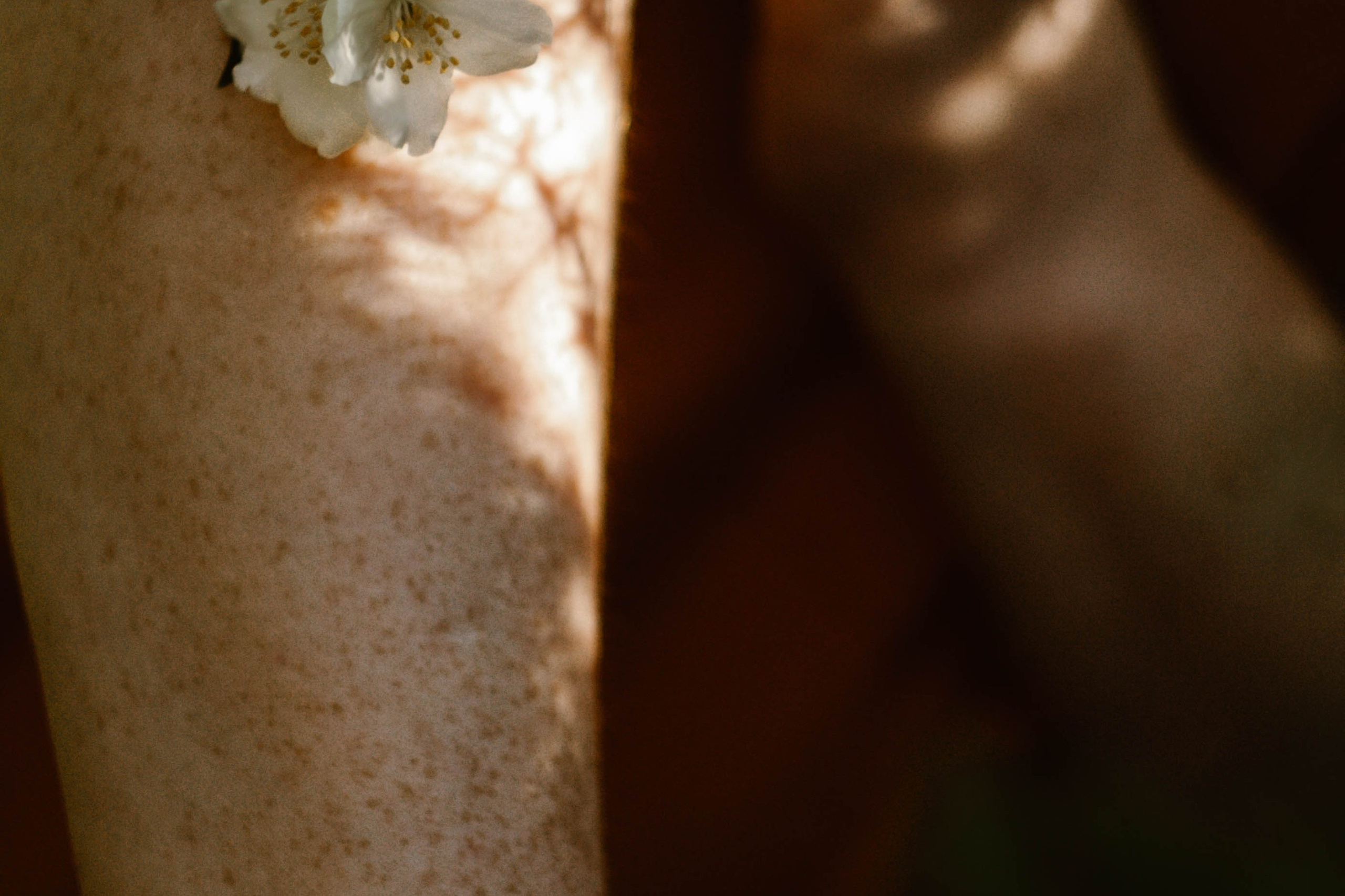 Таня в Жасмине