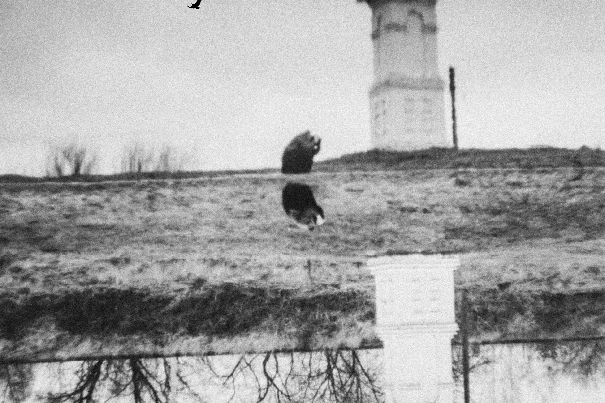 Хтонь. Весенняя Саша.