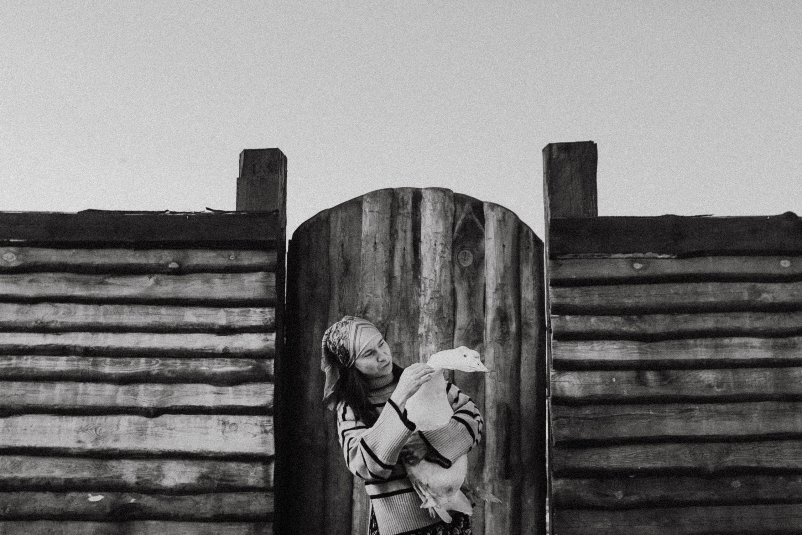 Варвара. Лошади. Закат.