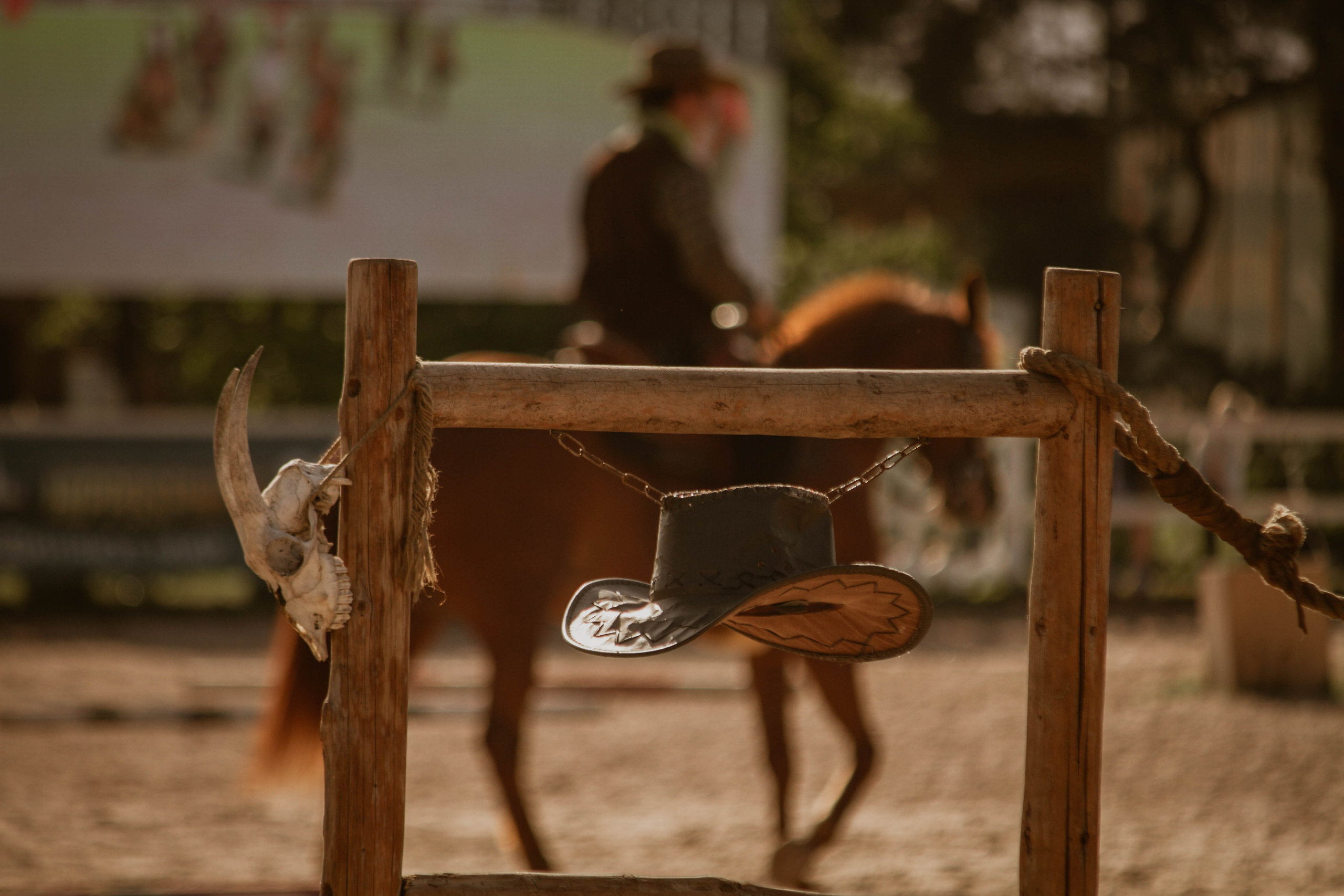 ИППОСФЕРА — Международная конная выставка
