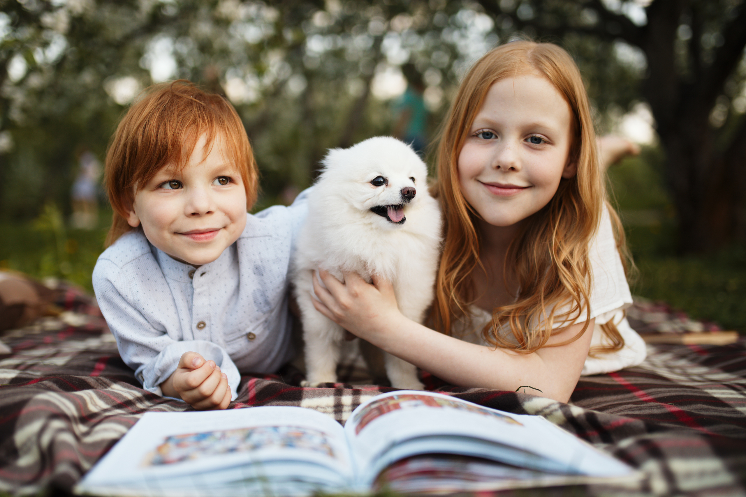 Дети солнца