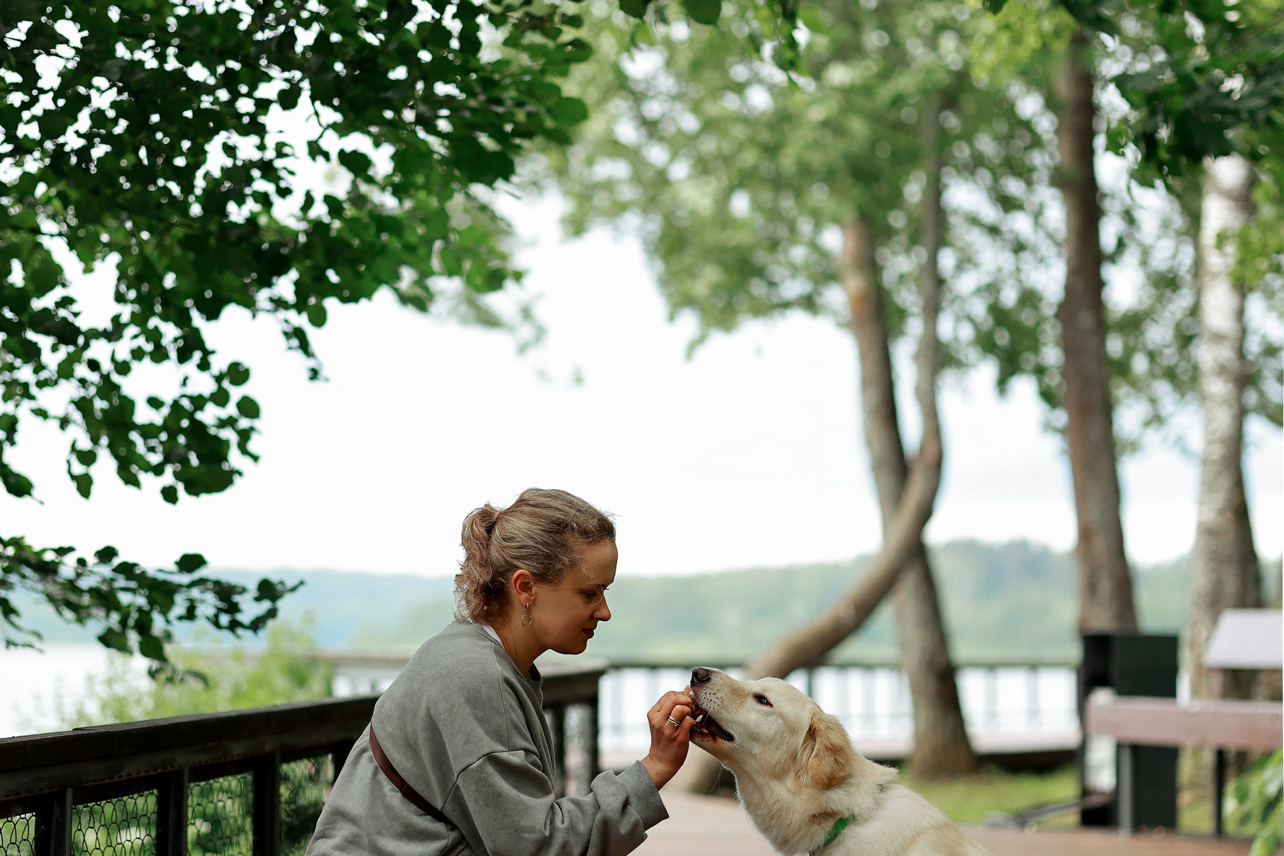Прогулка на берегу озера