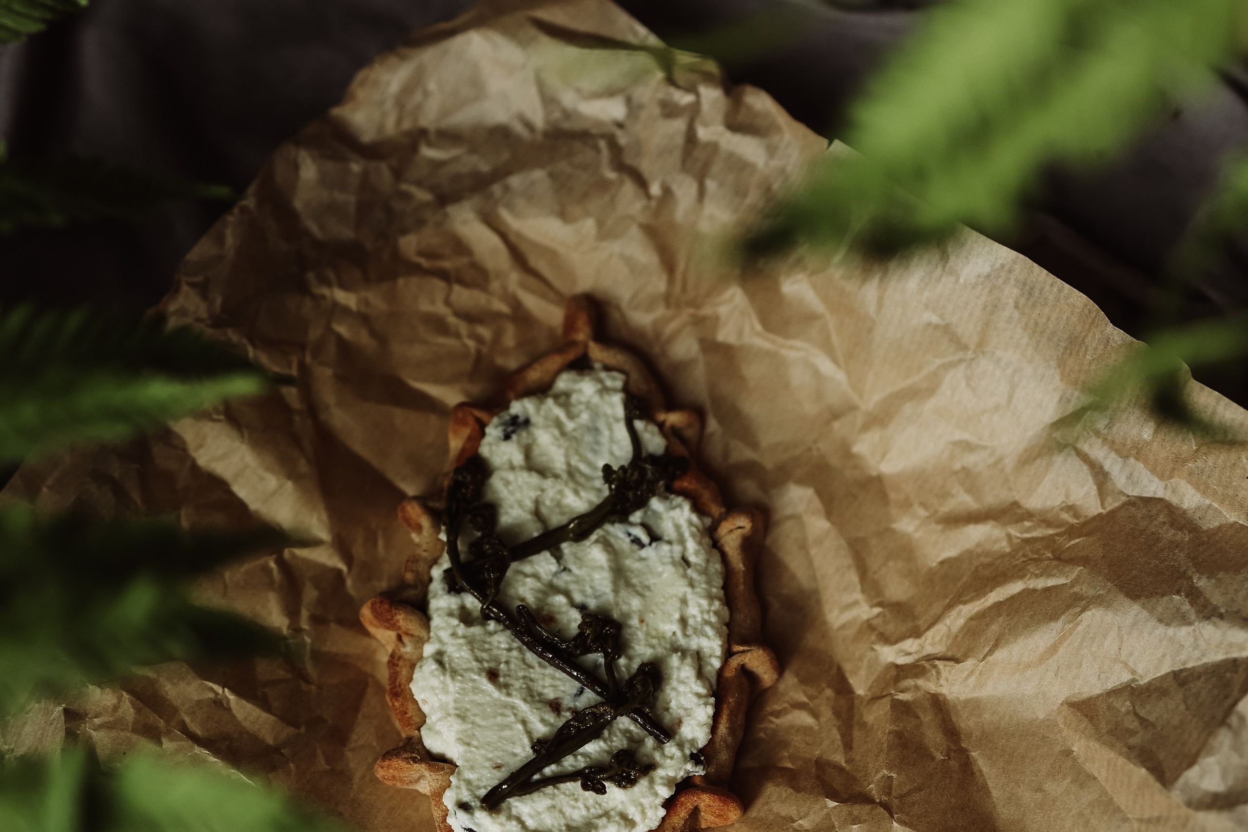 Меню для кафе «Папоротник»