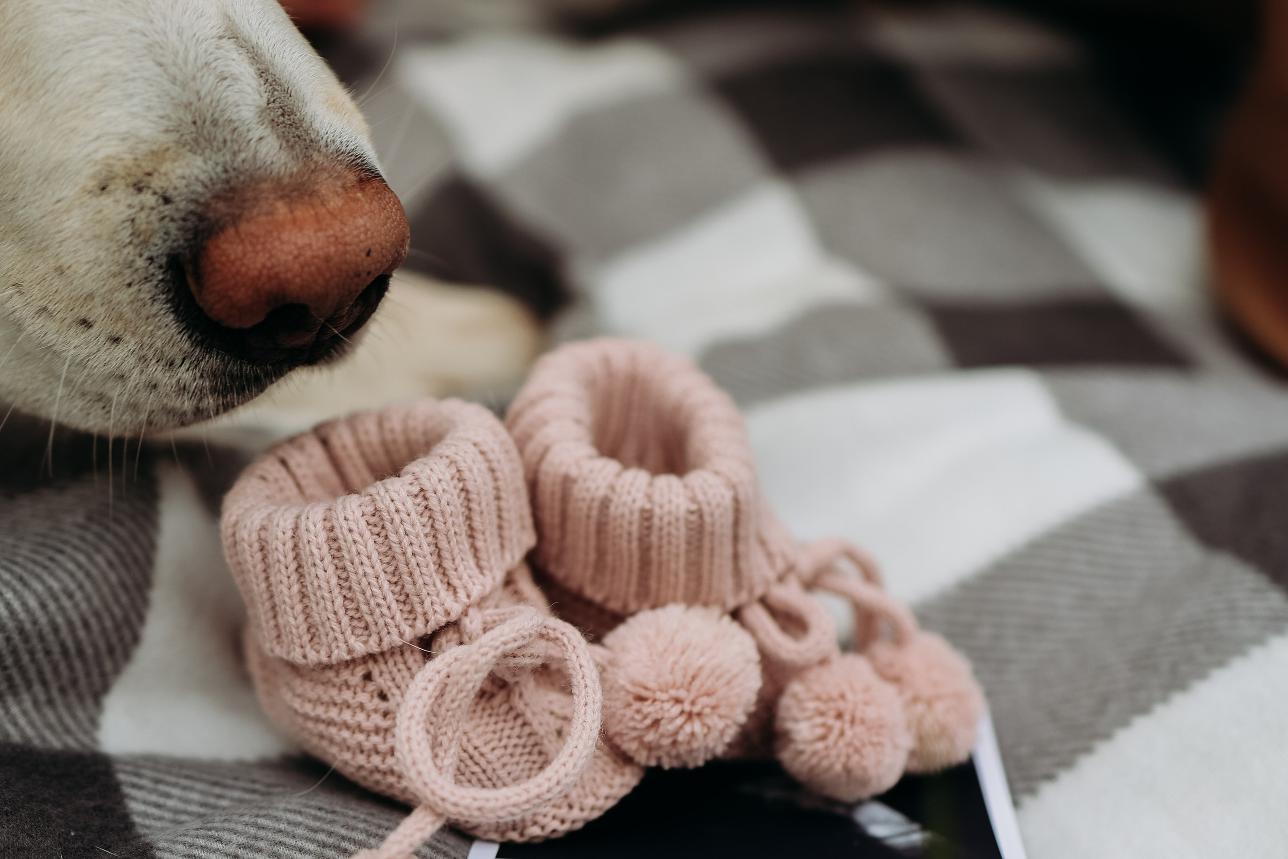 Беременность