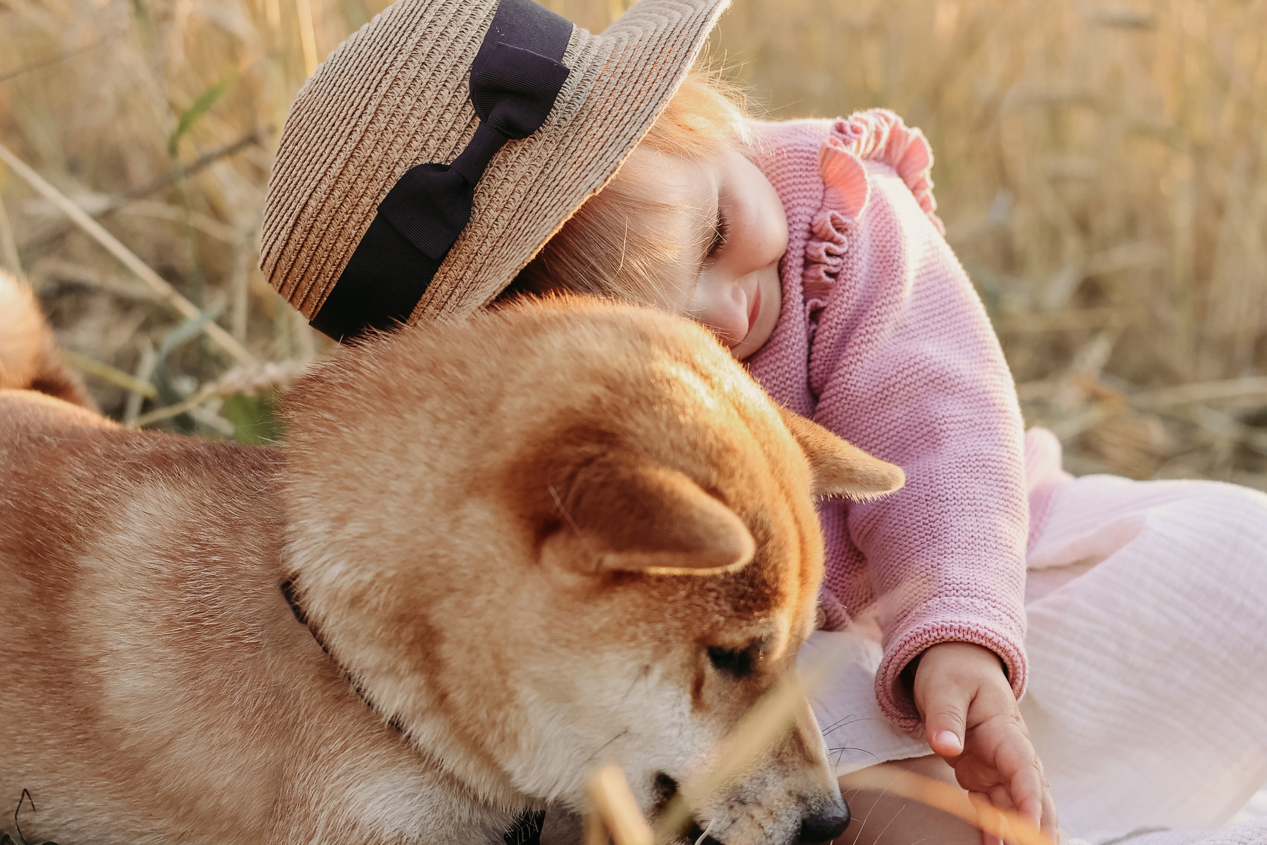 Дети и собаки