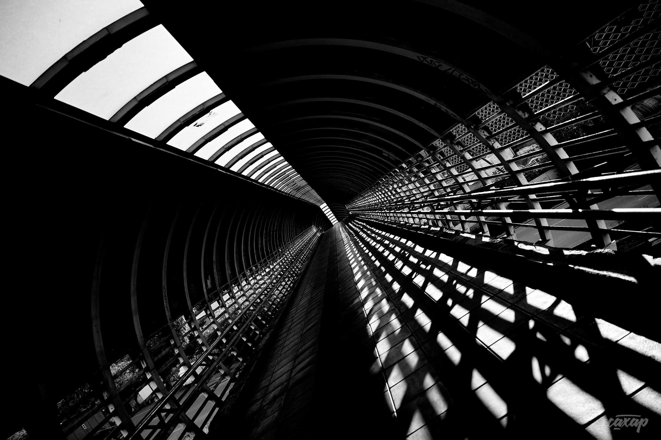 Что вижу, то и пою! от 2024_06_11