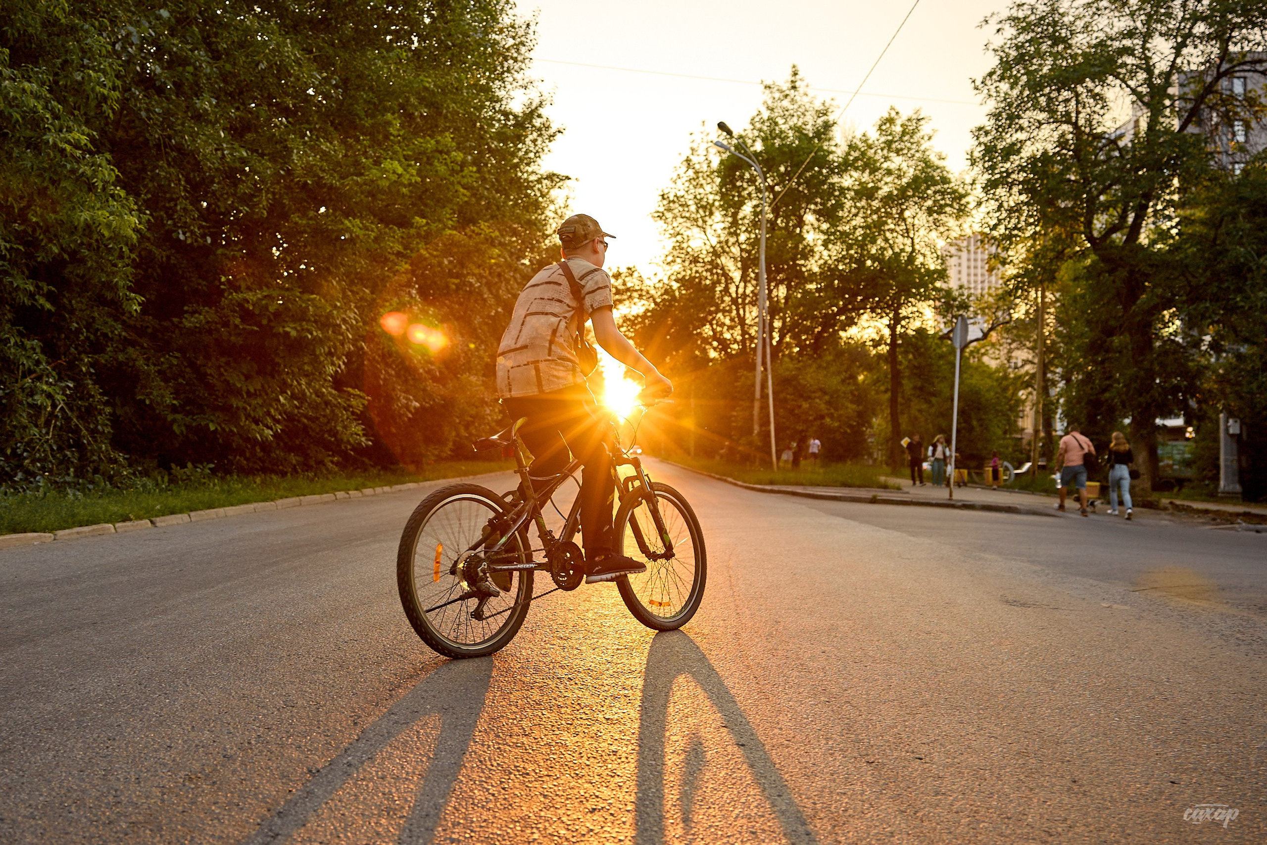 Не чай с Сахаром #5 от 17.07.2024