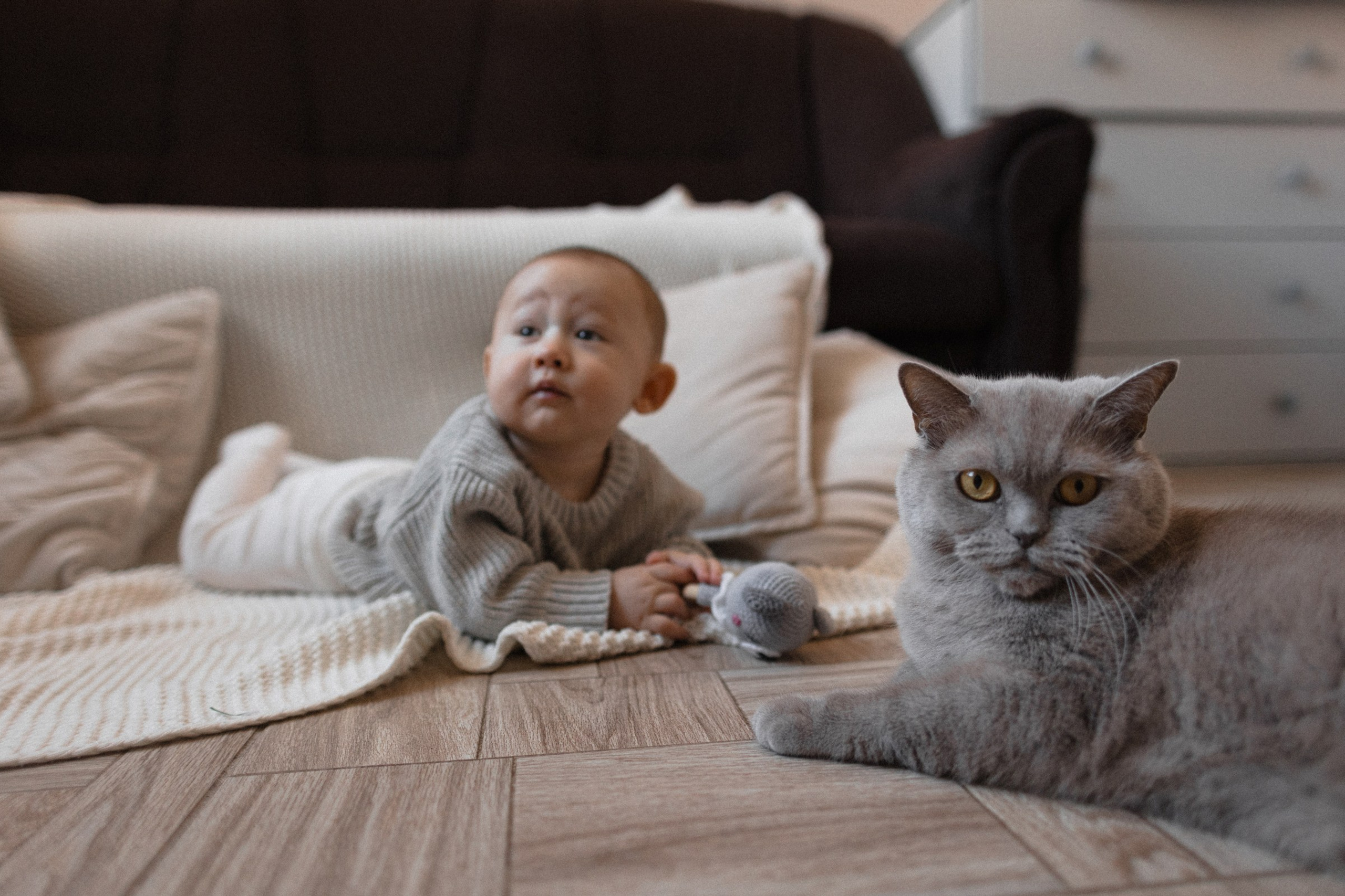 мой первый дом