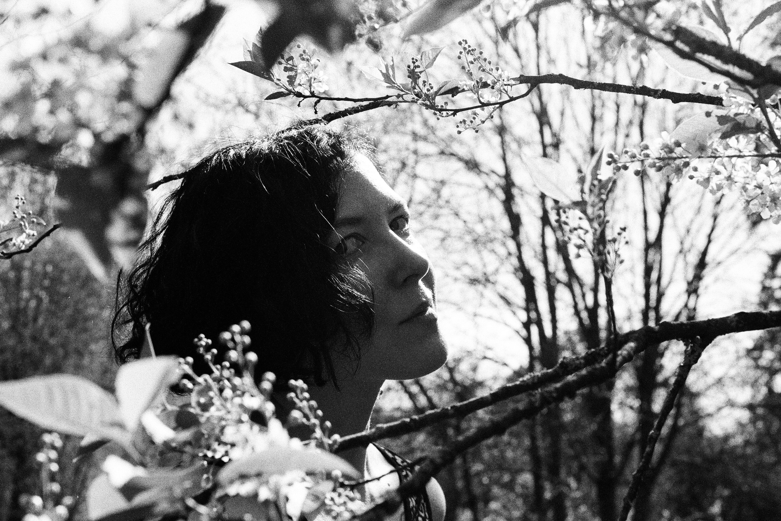 Майская обнаженная искренность первых соцветий