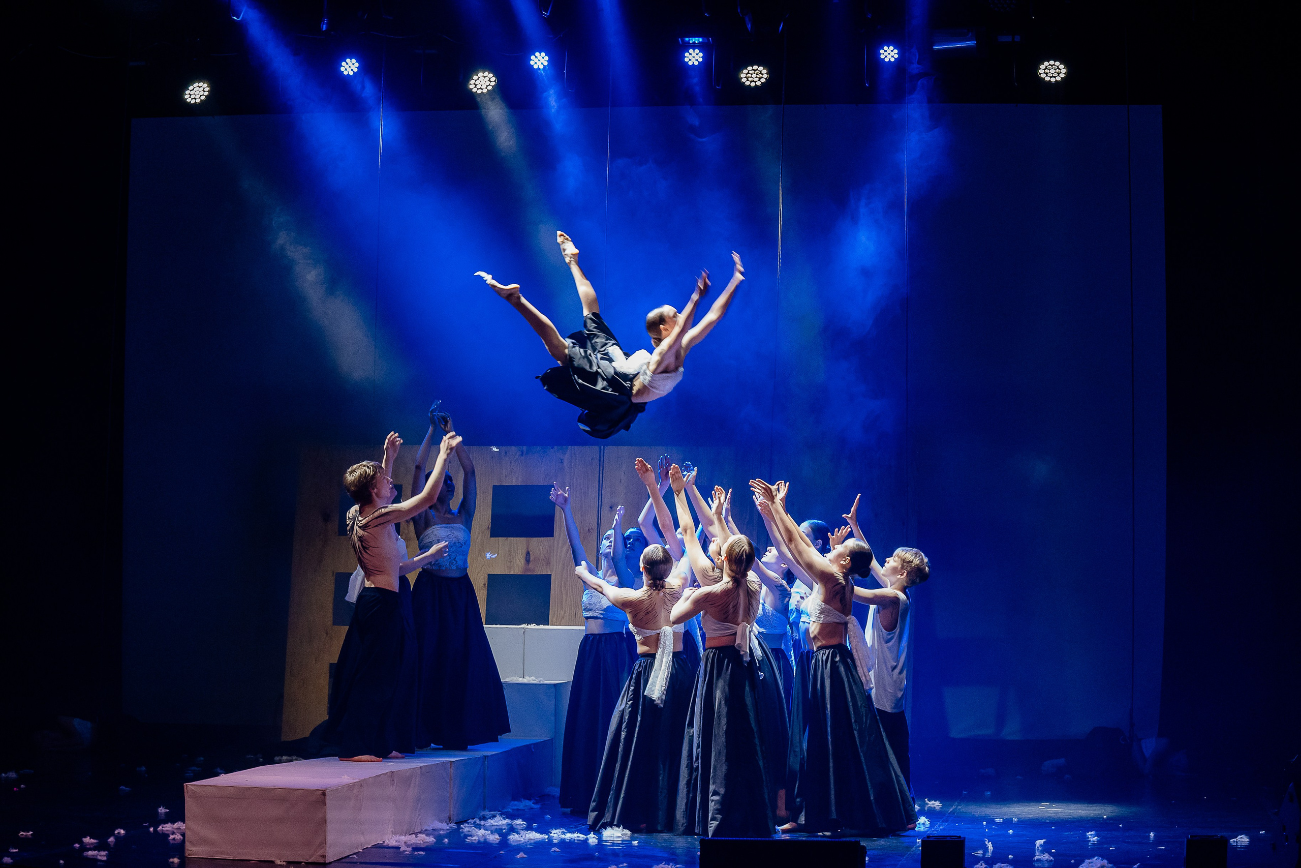 Небесные ласточки