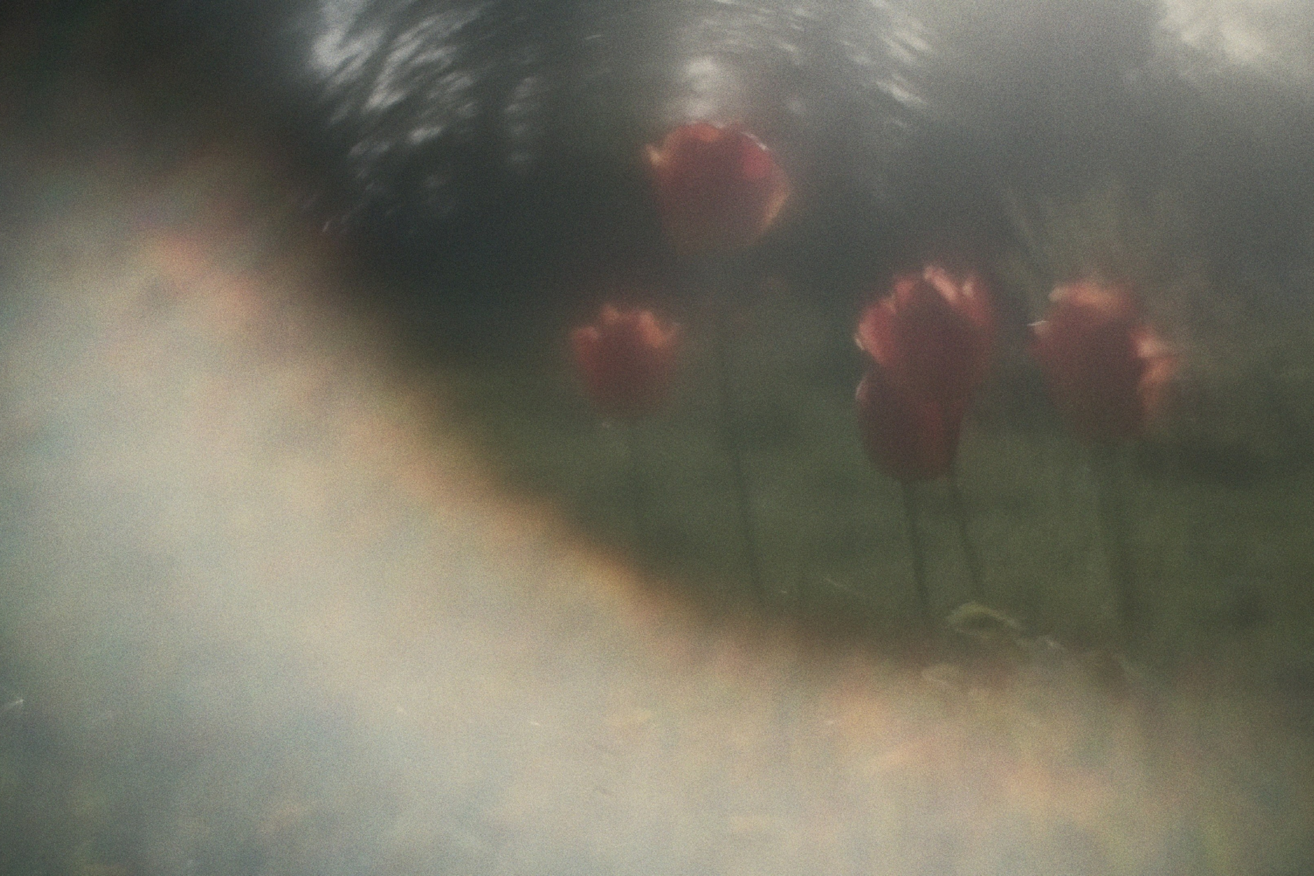 LFDM. Andrew Sozonov visual artist