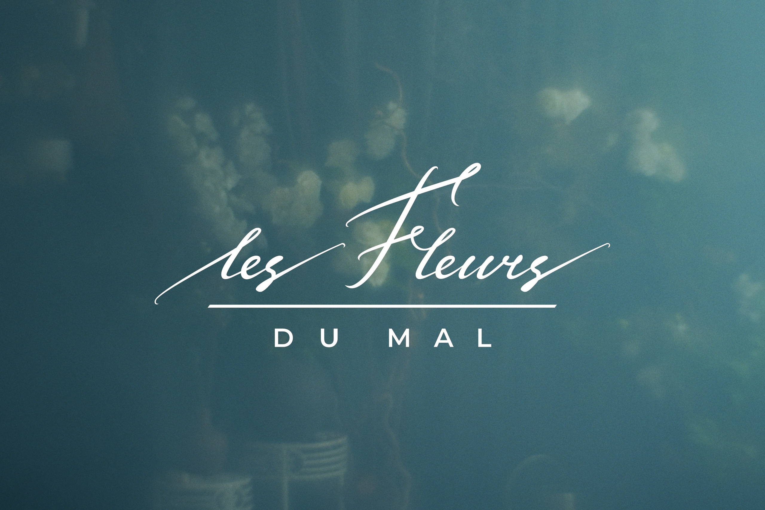 PROJECTS. Andrew Sozonov visual artist