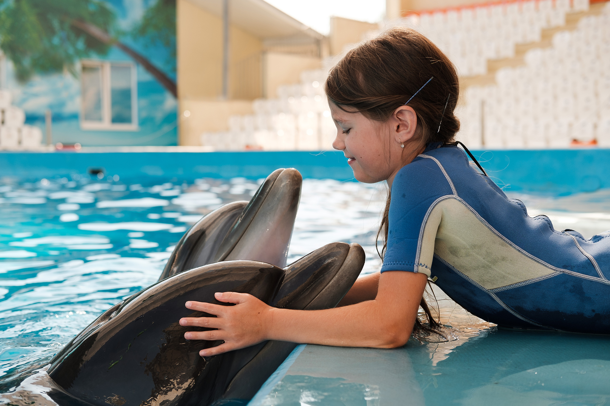 Дельфинотерапия