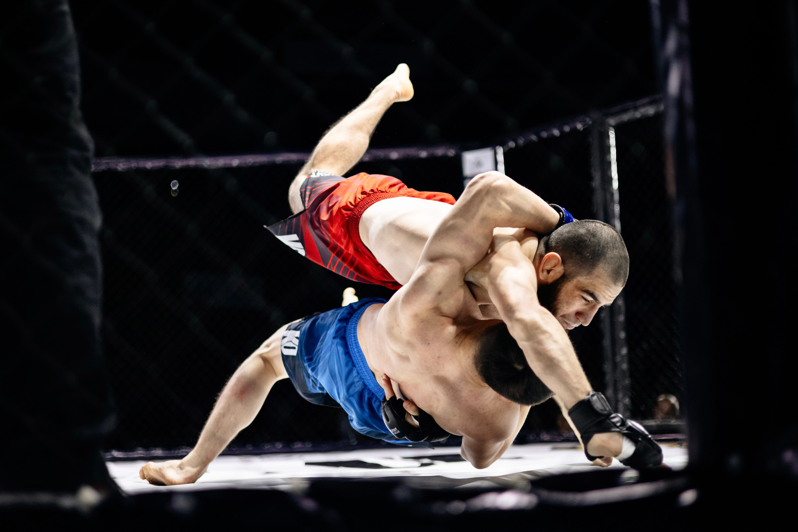 Бойцовская лига «KNOCK OUT»