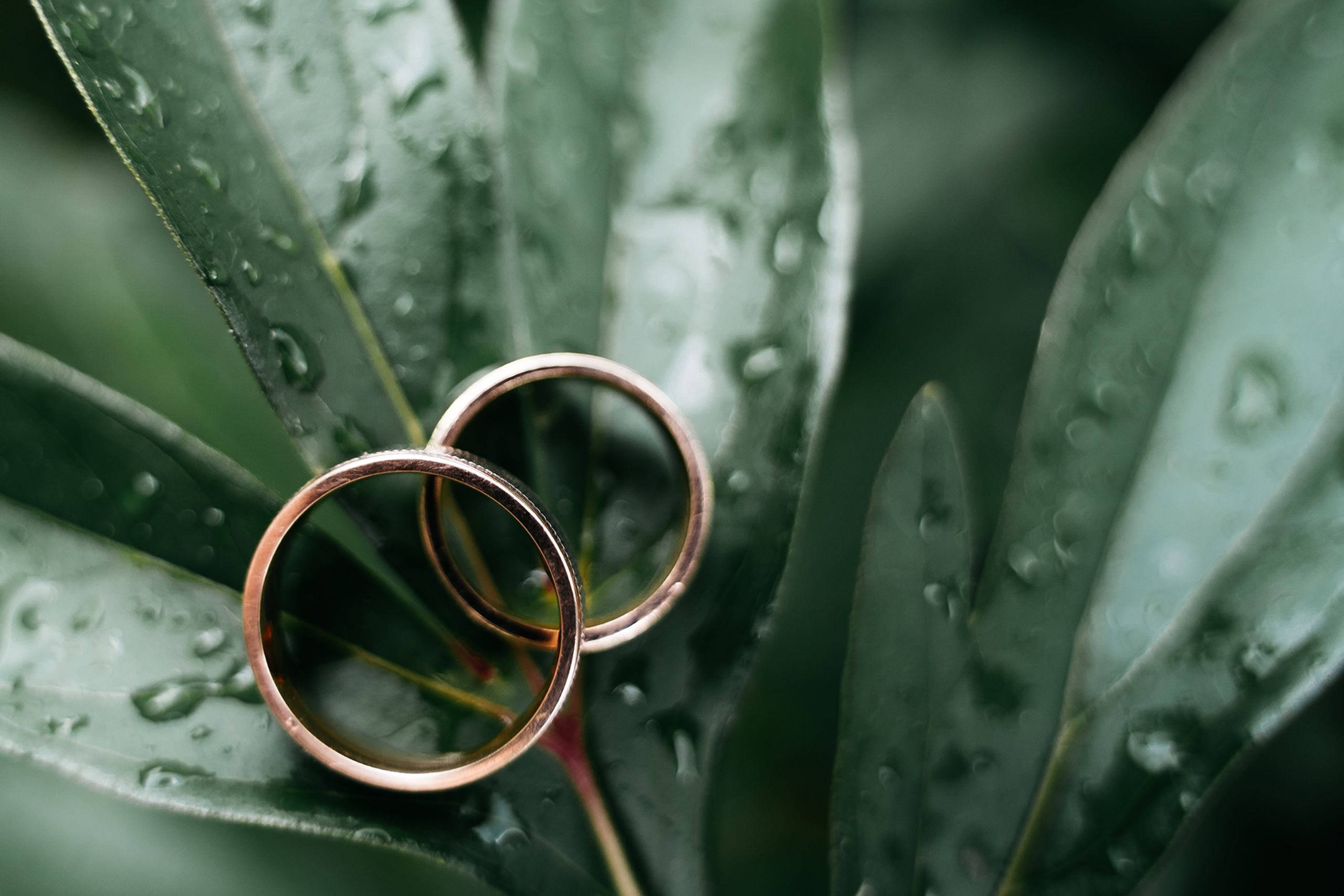 Владимир и Мария