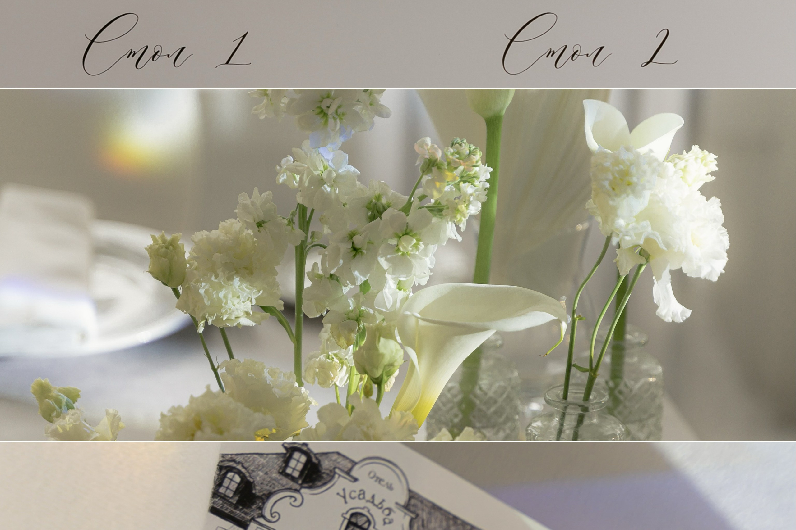 Дмитрий и Анастасия