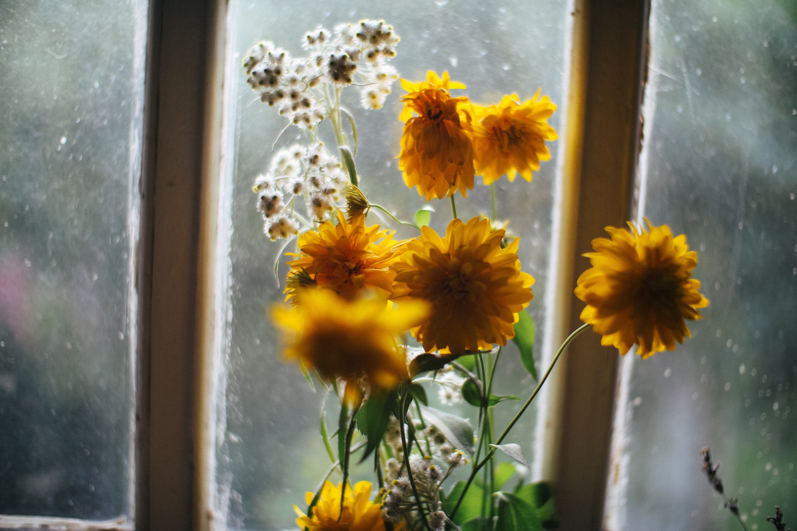 Дачные дела, часть 2 — Canon EF 50/1.2L