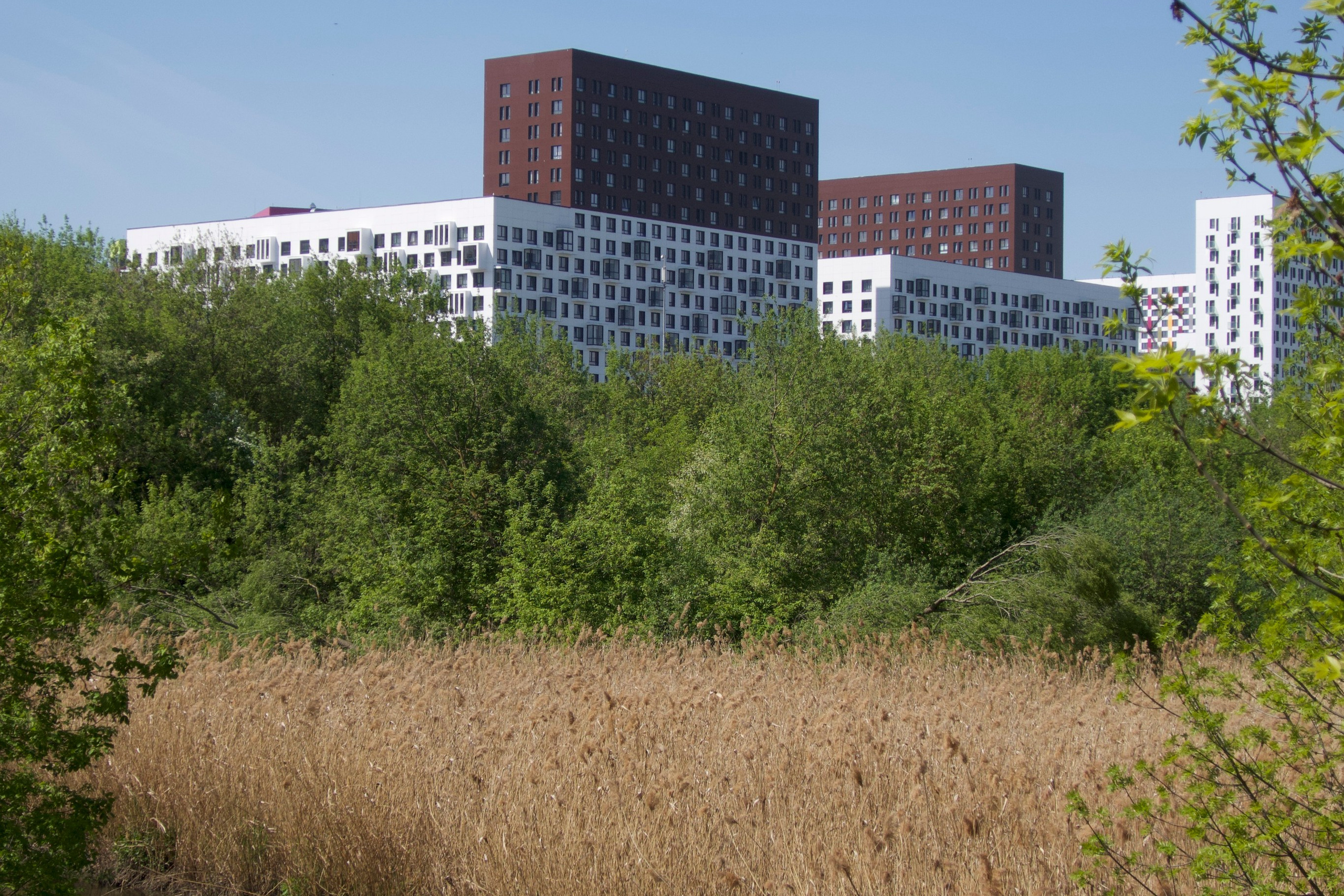 #28: Парк «Свибловские пруды»