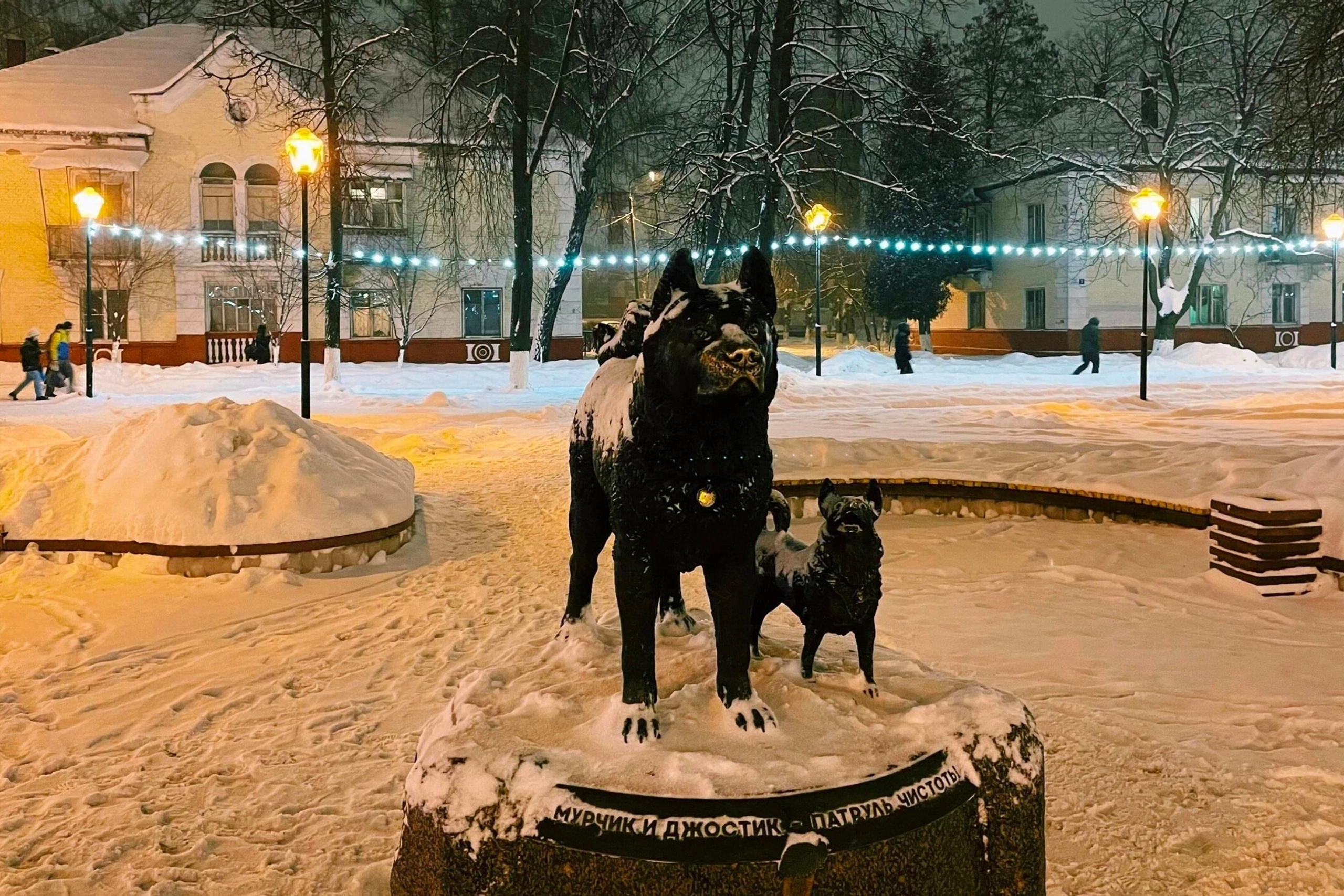 #6: Про чистоту и&nbsp;порядок