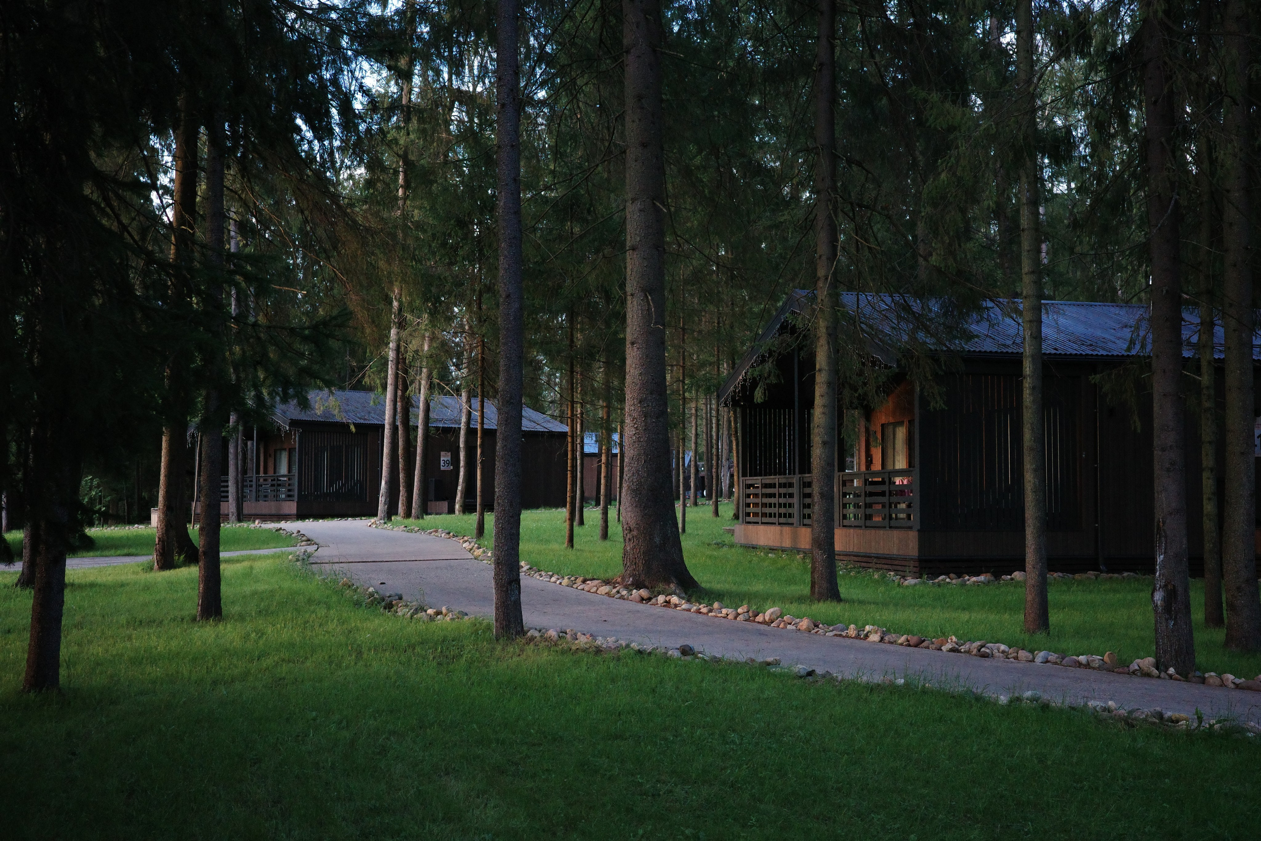 #41: Пересвет / август 2025