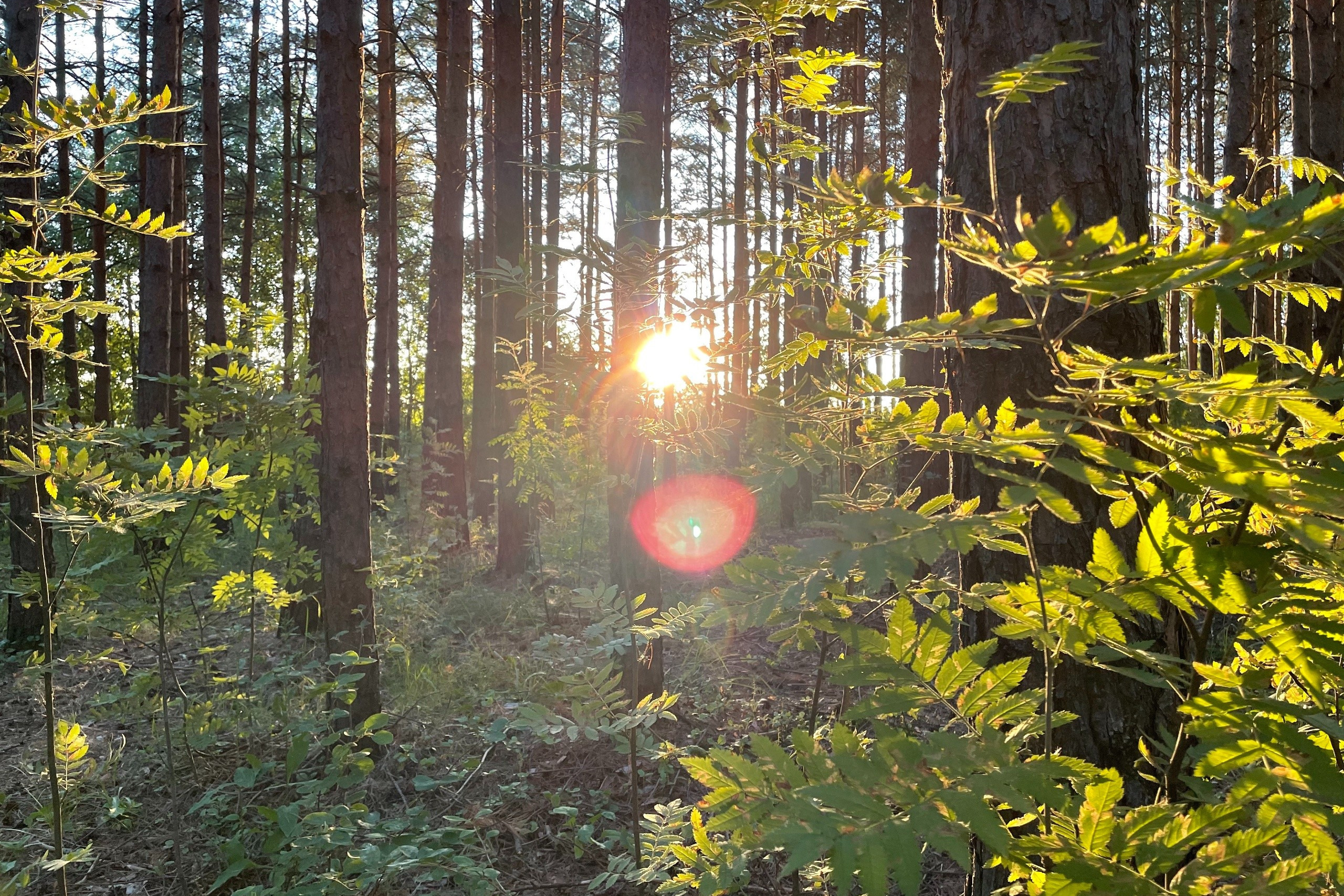 Фотопрогулки. Проект «Фотокладовка»: блог уличной фотографии в формате street photo