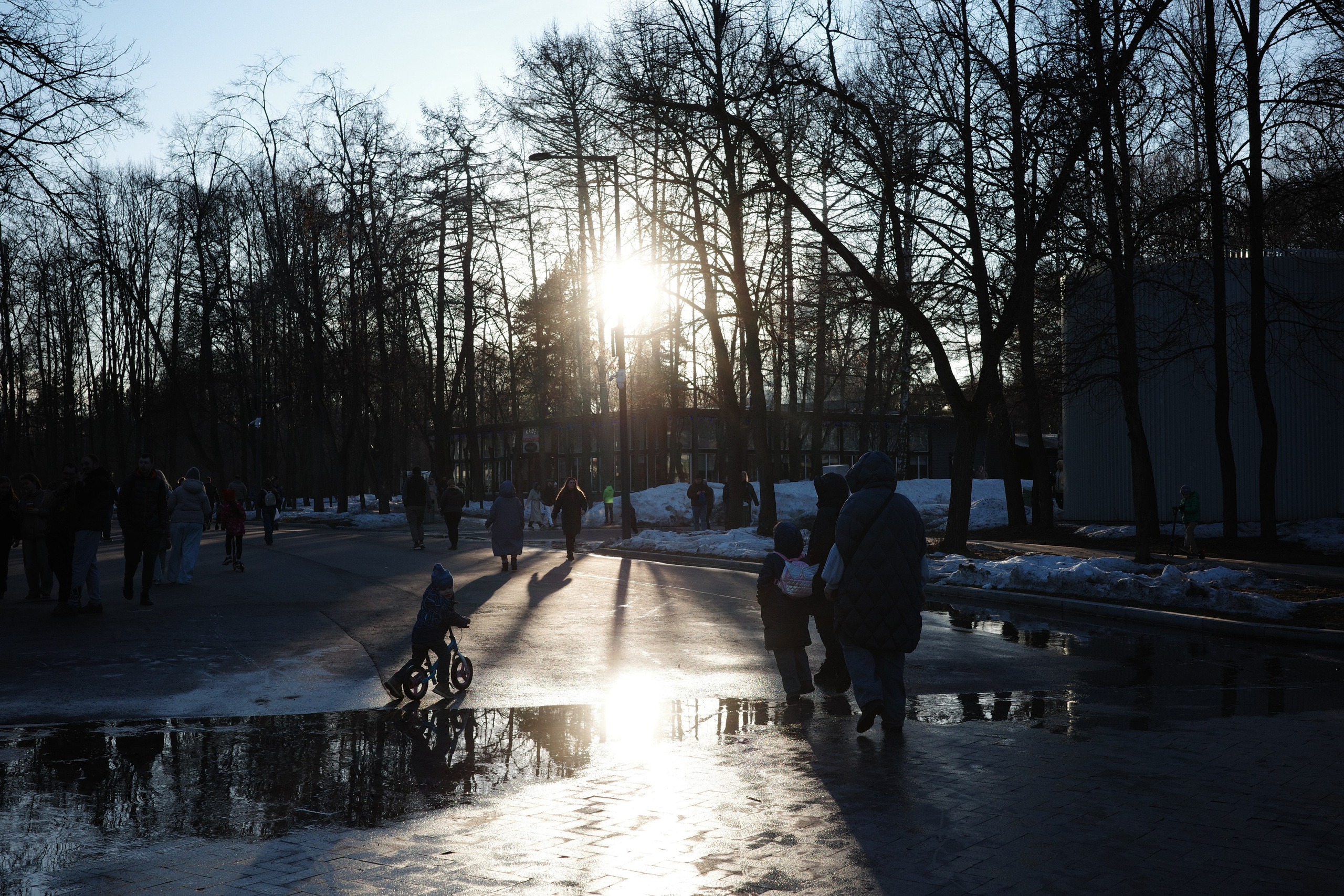 #44: Парк «Сокольники» / март 2026