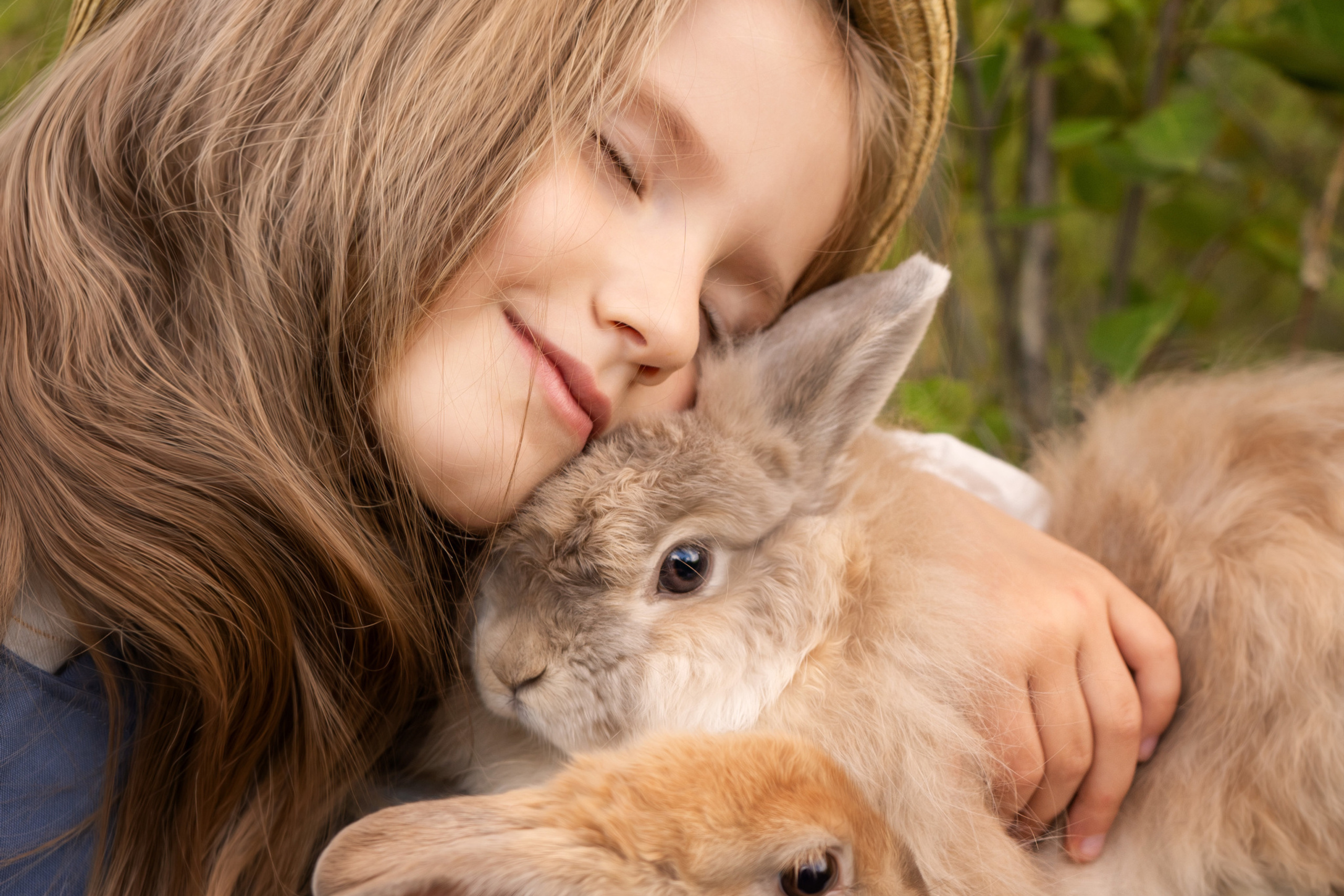 Наши домашние животные