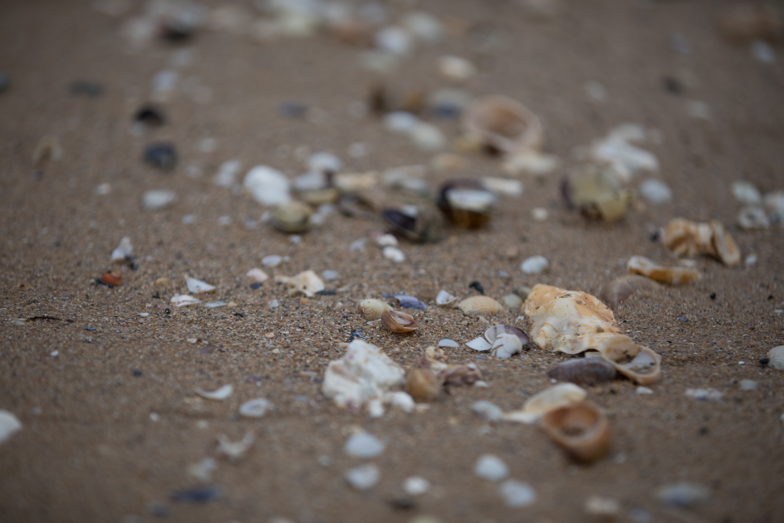 Путешествия и пейзажи